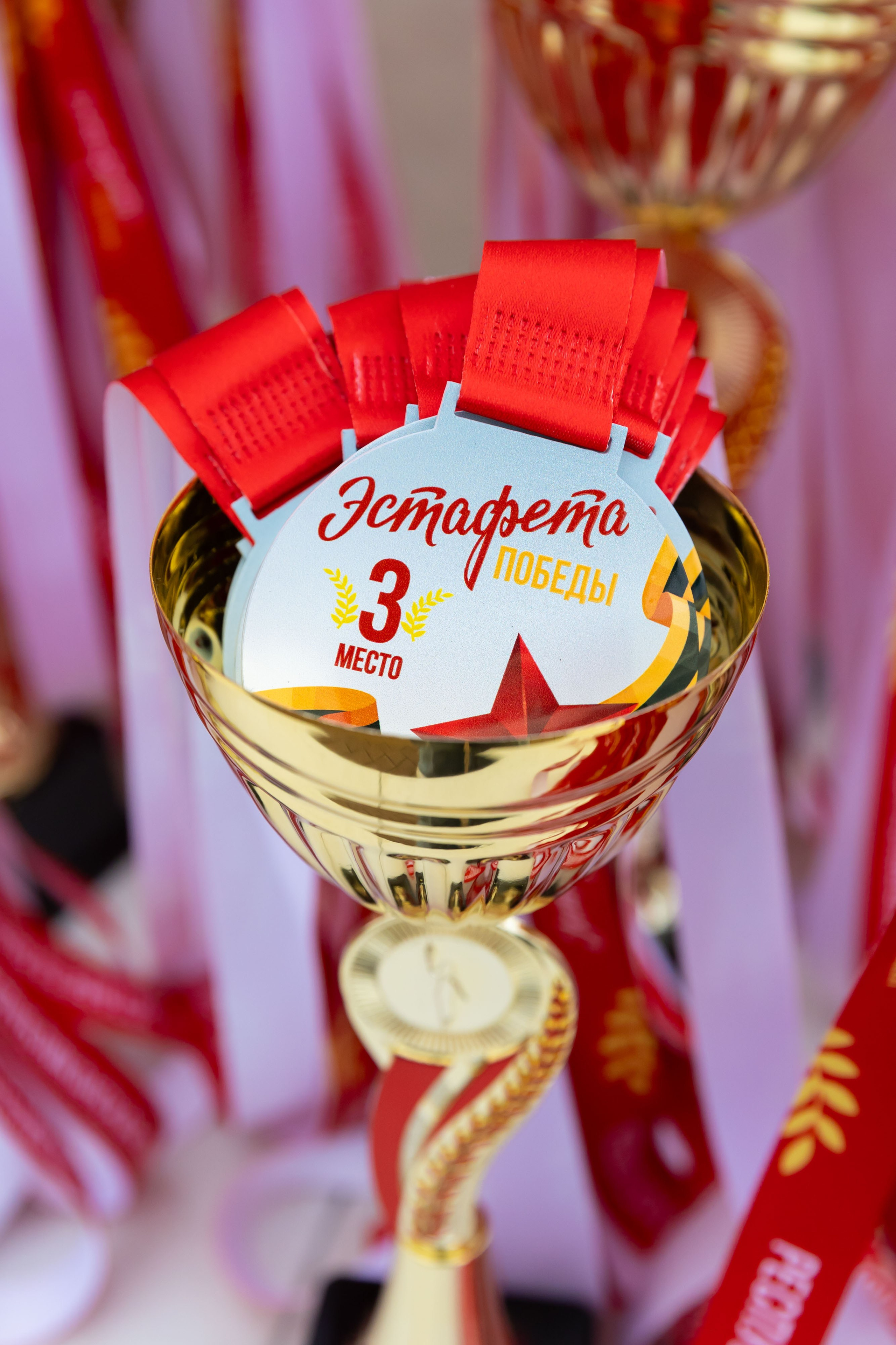 09.05.2025 Забег Победы. ФОТОГРАФ ВИНОГРАДОВА ДАРЬЯ