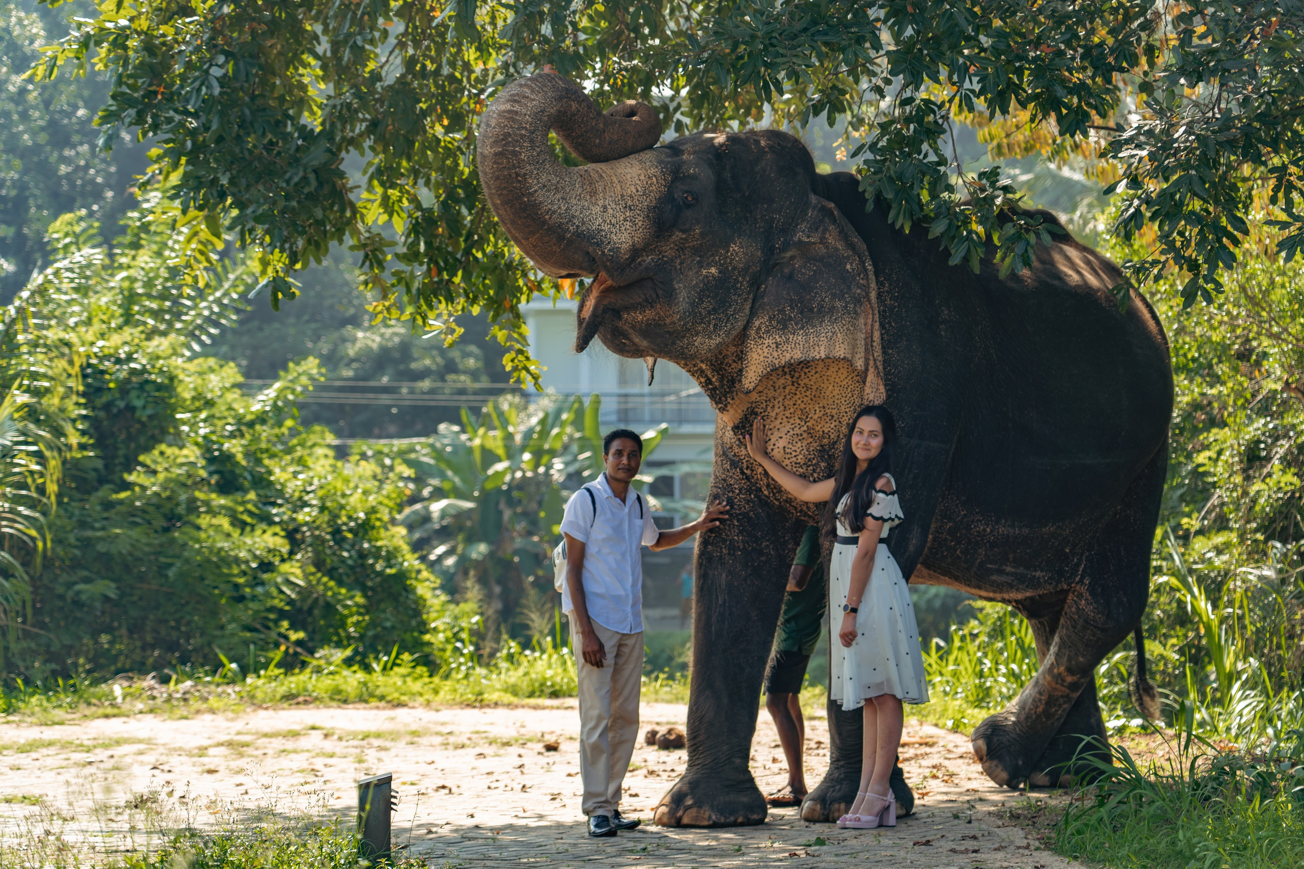 Promo content shooting for Ceylon Forward Tours