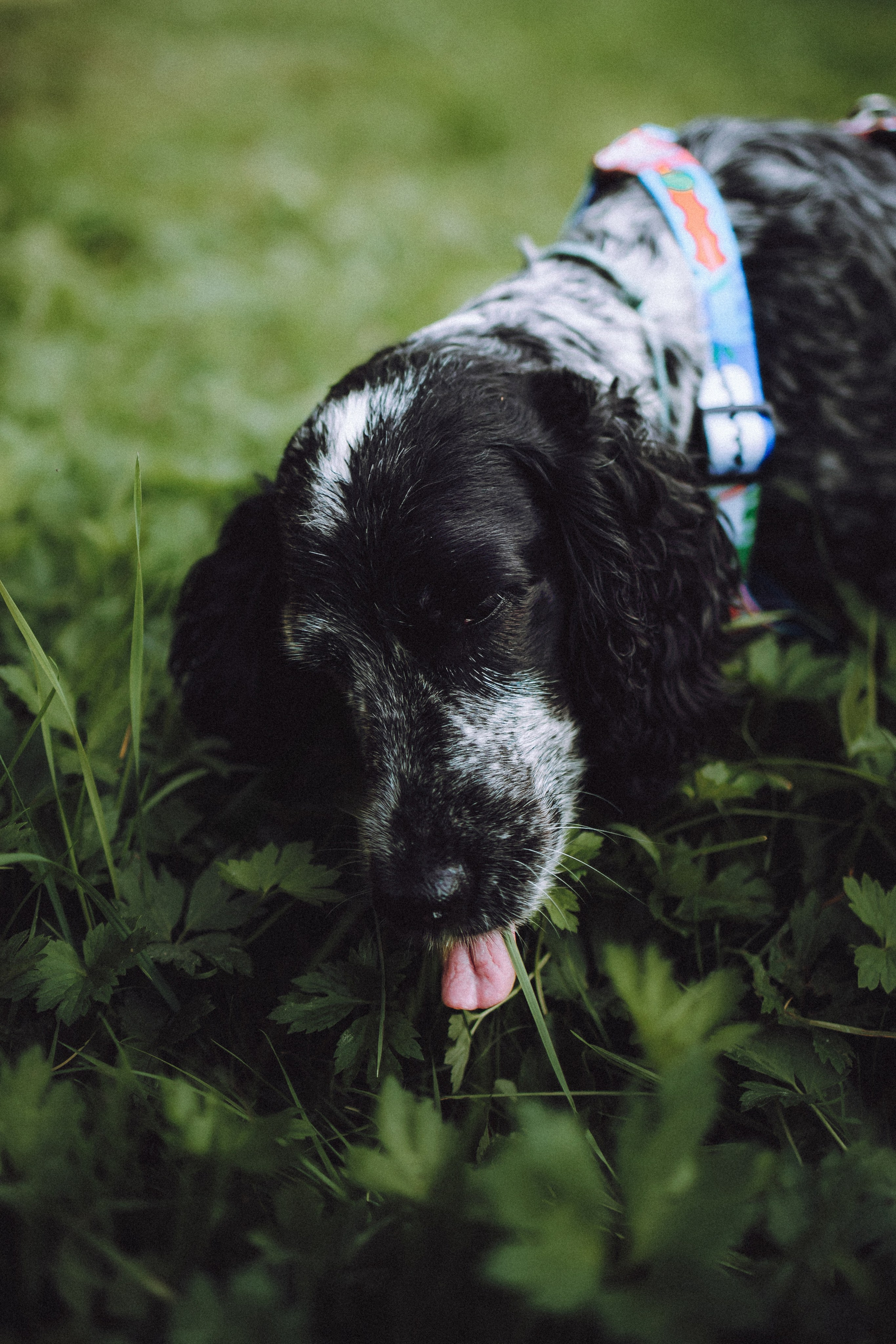 Маша и Ларри