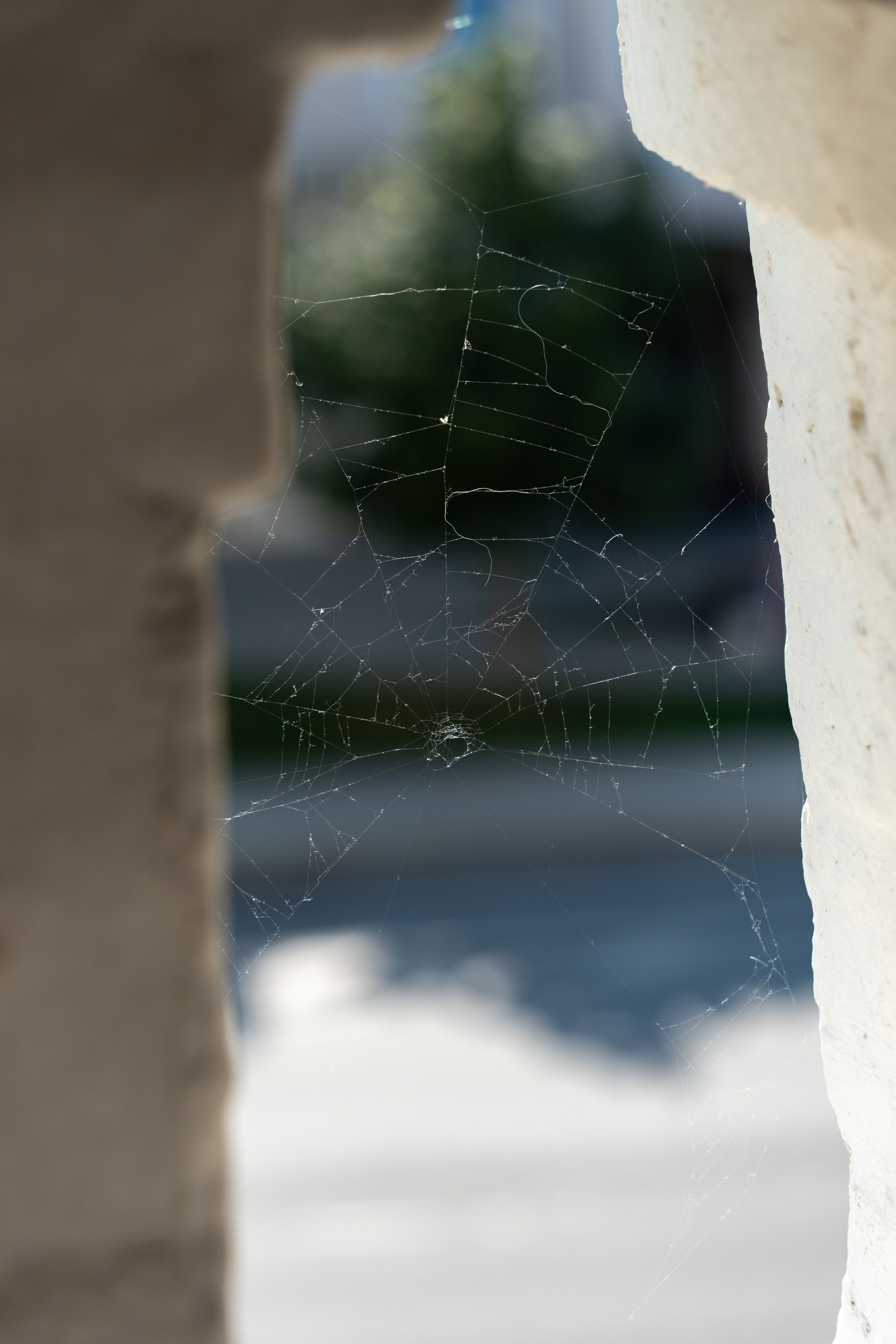 20250729-30 Ростов. Дмитрий Ремизов. Фотография, как хобби