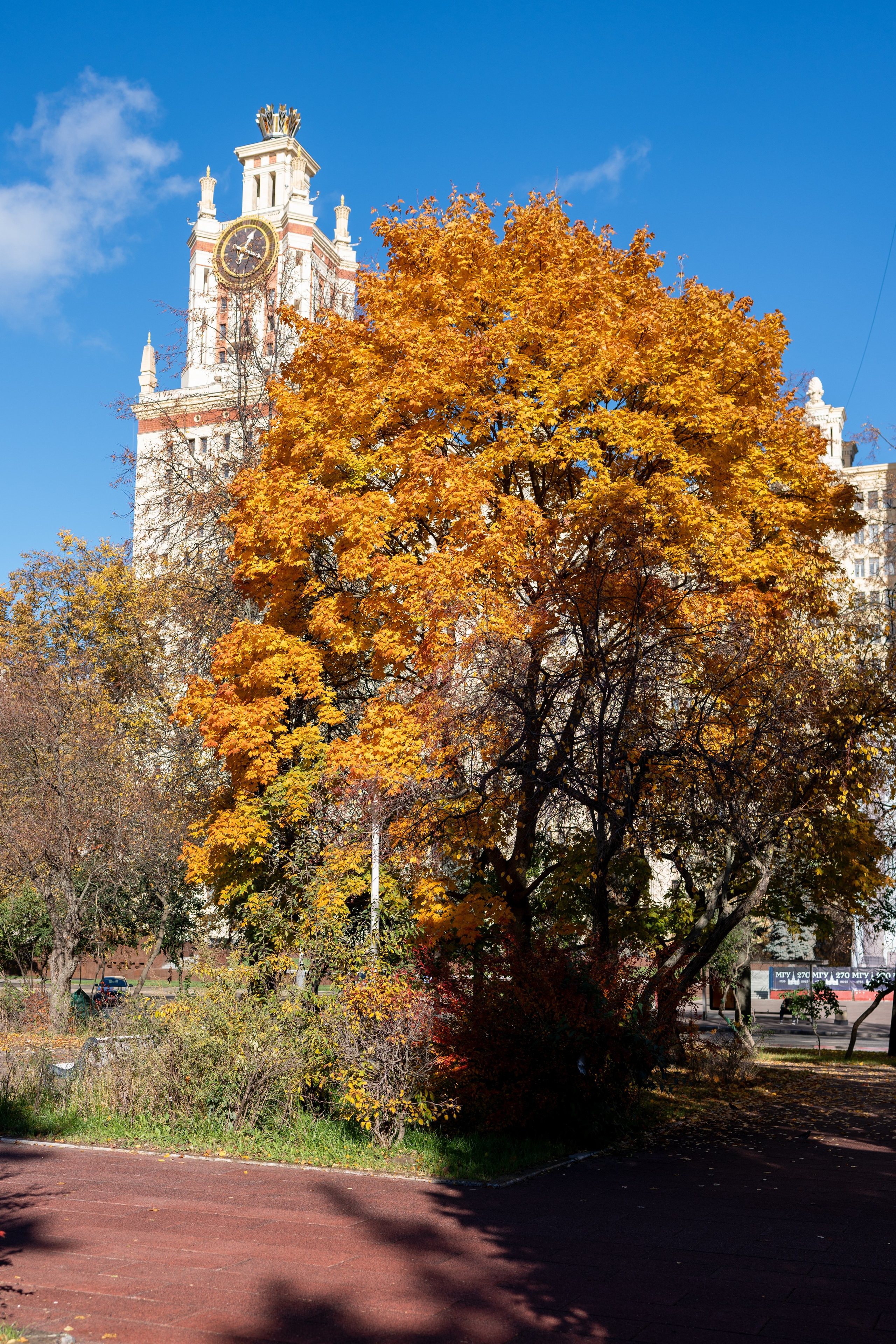 20251012 МГУ. Дмитрий Ремизов. Фотография, как хобби