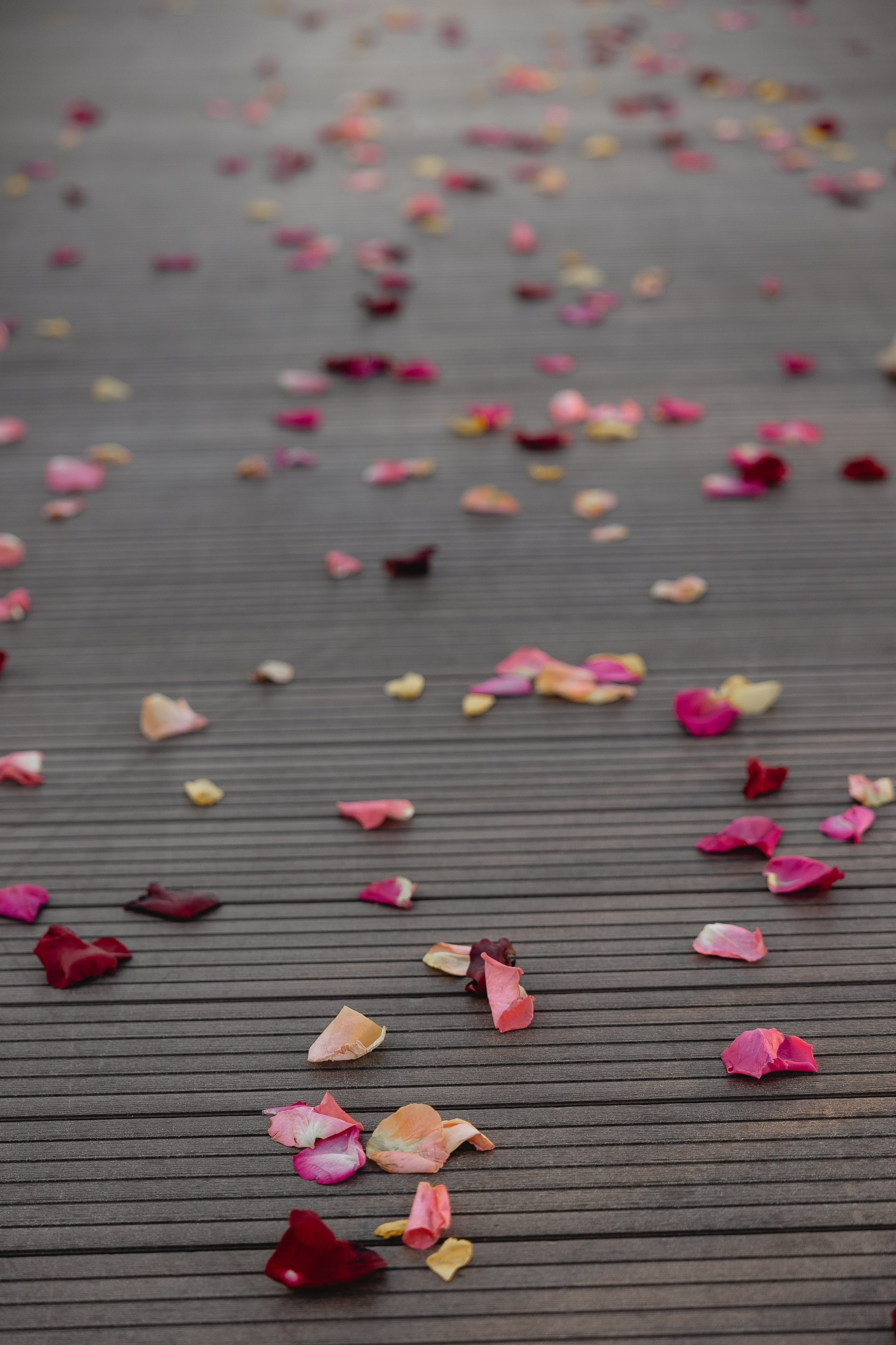 И снова 3 сентября. Свадебный и портретный фотограф Казань/Москва/СПБ Елькина Юлия