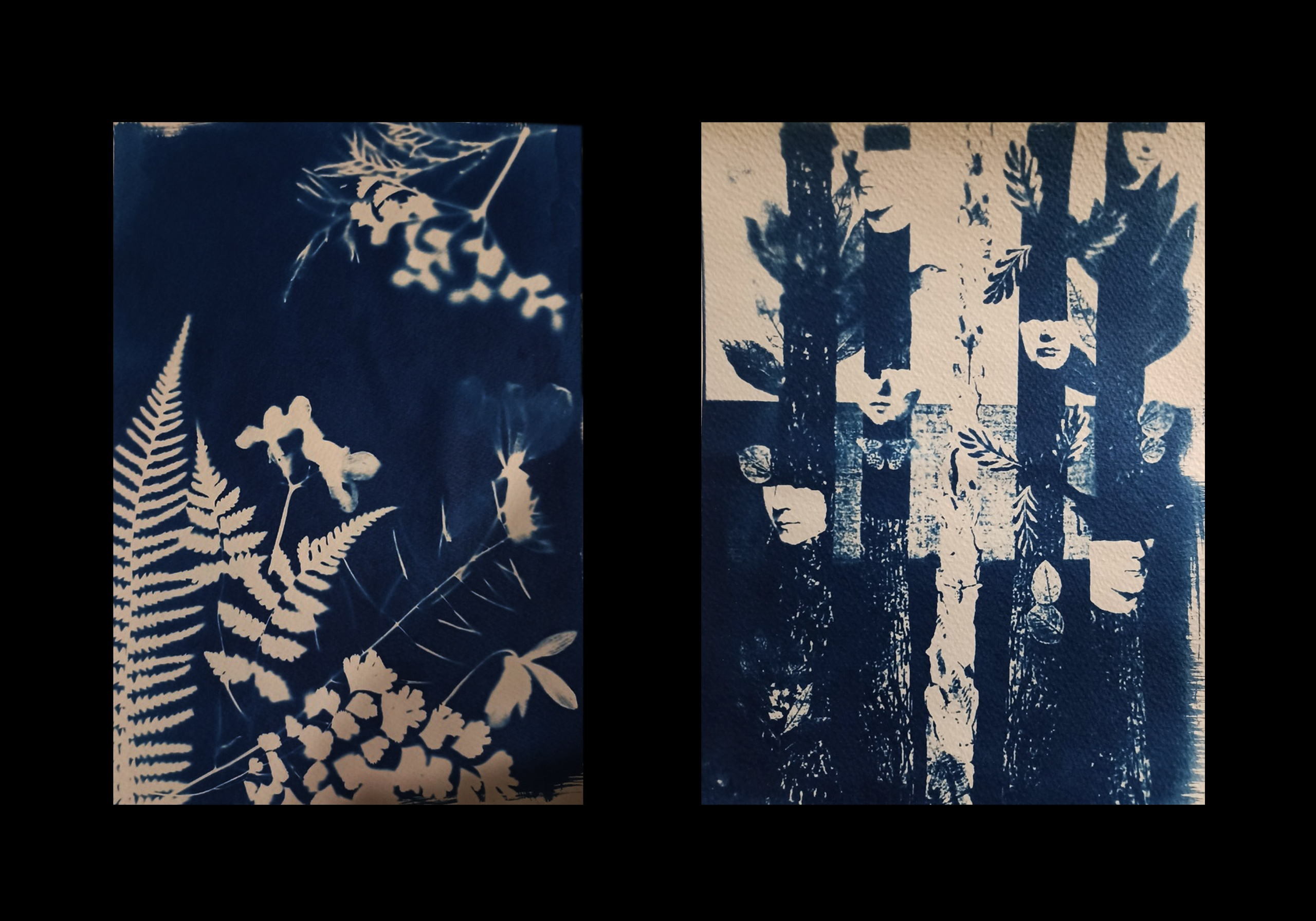 Ира Бринкус | Лес. Private image