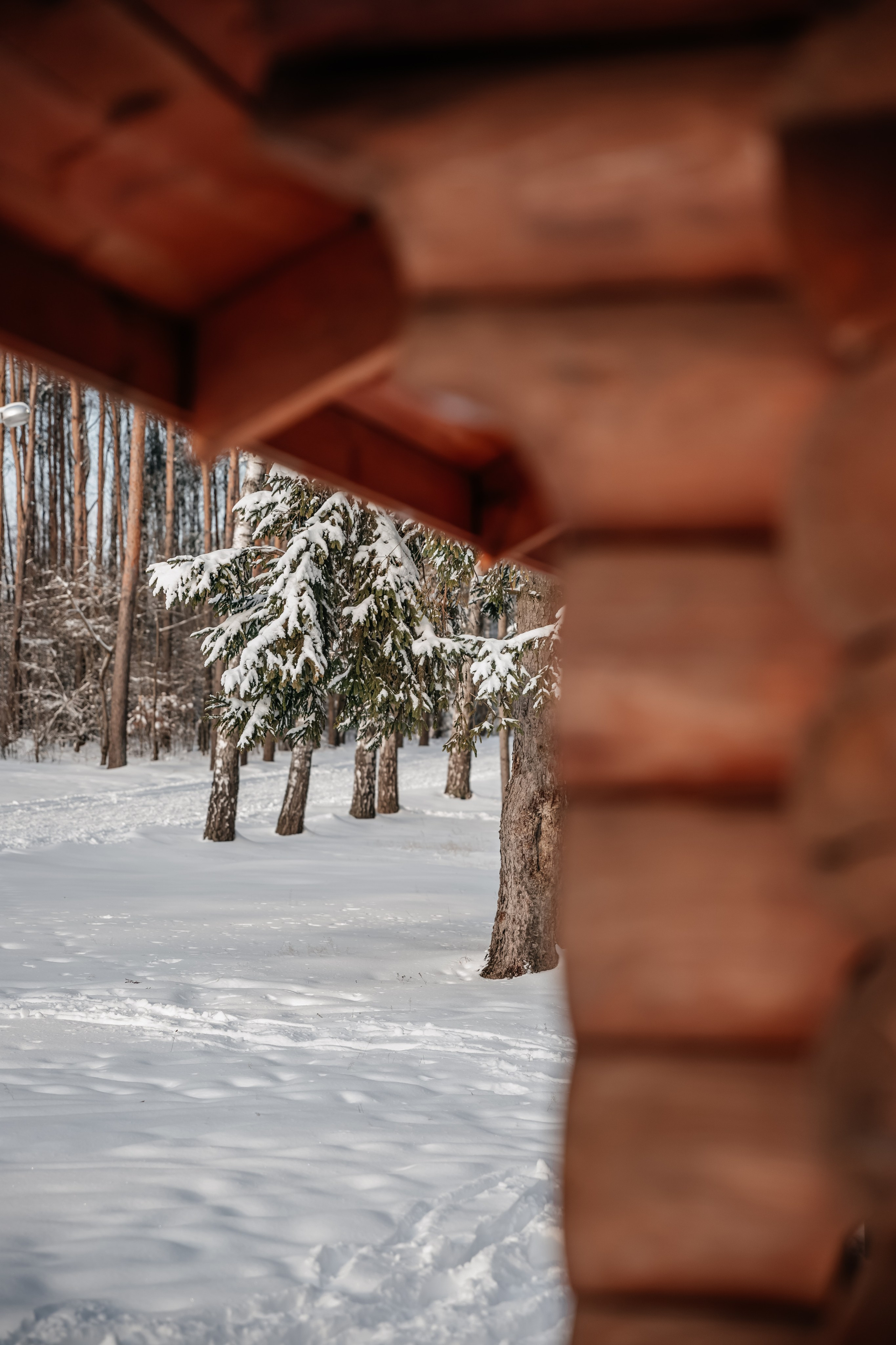 Катя и Полина. Семейный и свадебный фотограф Минск, Барановичи Ольга Пахомова