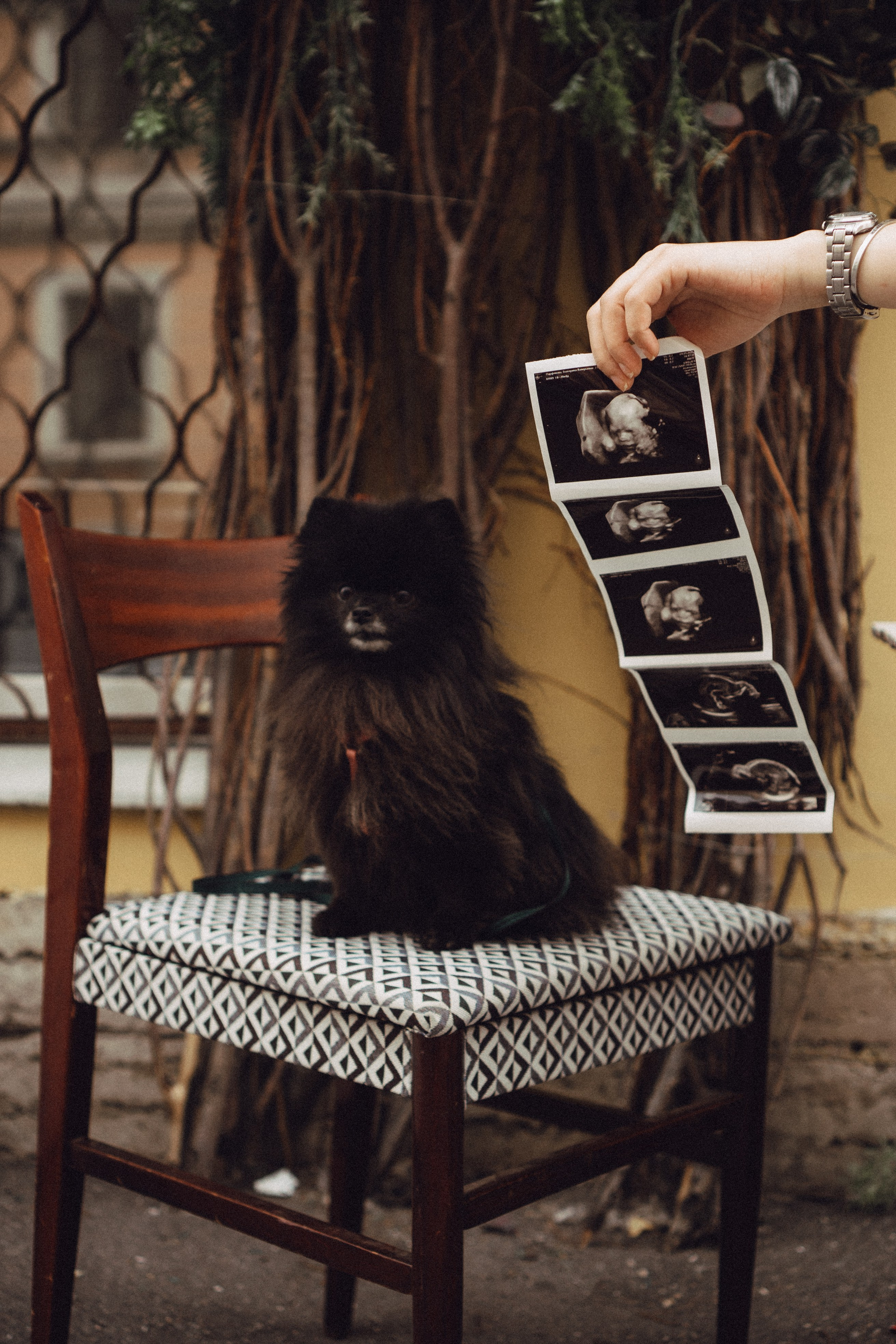 Беременность (только часть фото по желанию клиентов могу показать)). Профессиональный фотограф, Санкт-Петербург — Виктория Богомолова