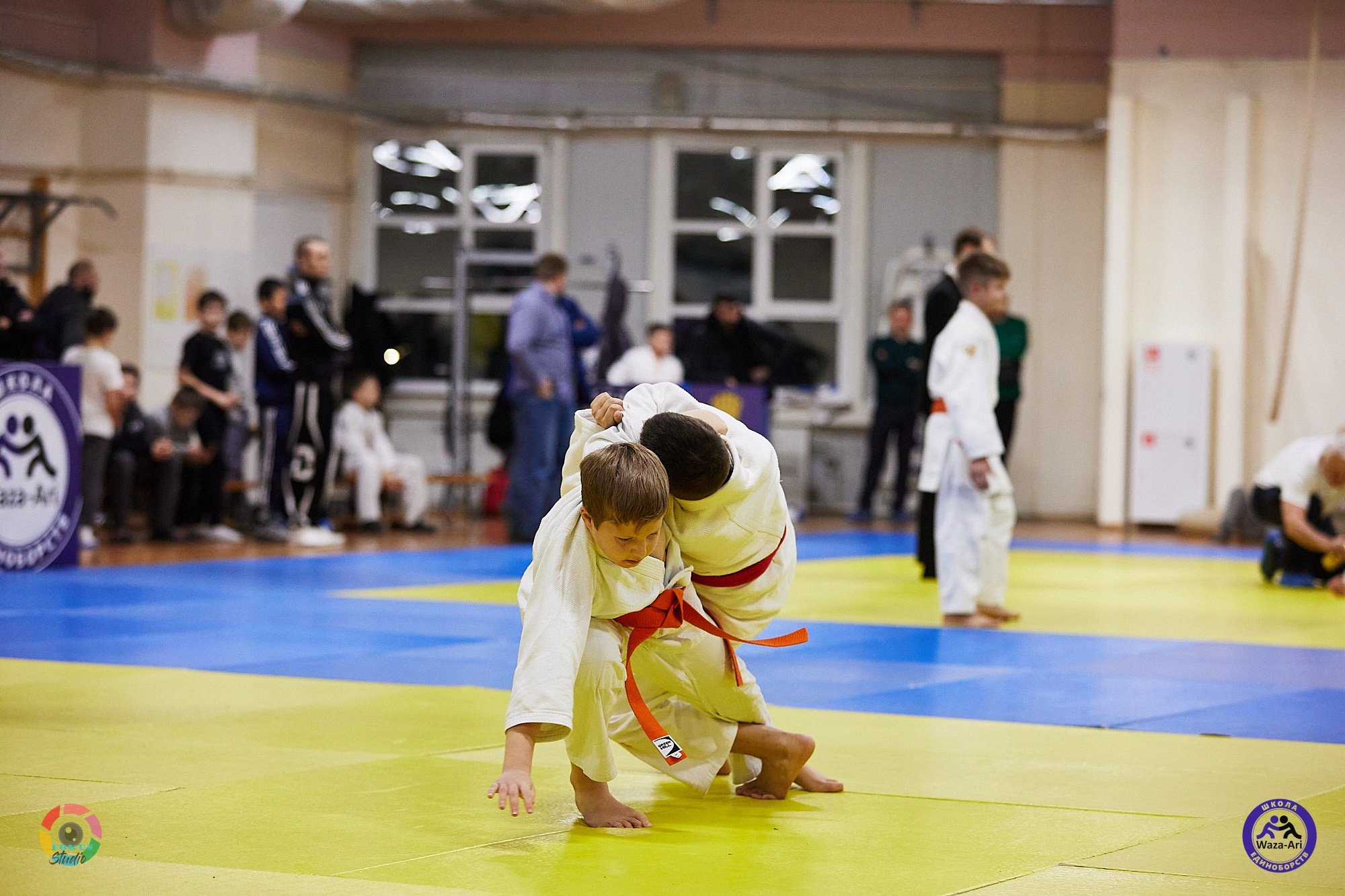 Репортаж Турнир по дзюдо. Спортивный фотограф Некрасов Денис