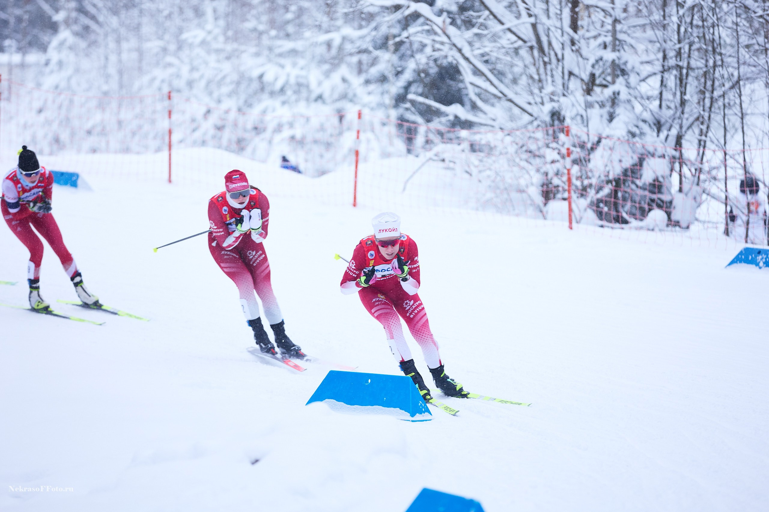 Кубок России по Лыжным гонкам. Спортивный фотограф Некрасов Денис