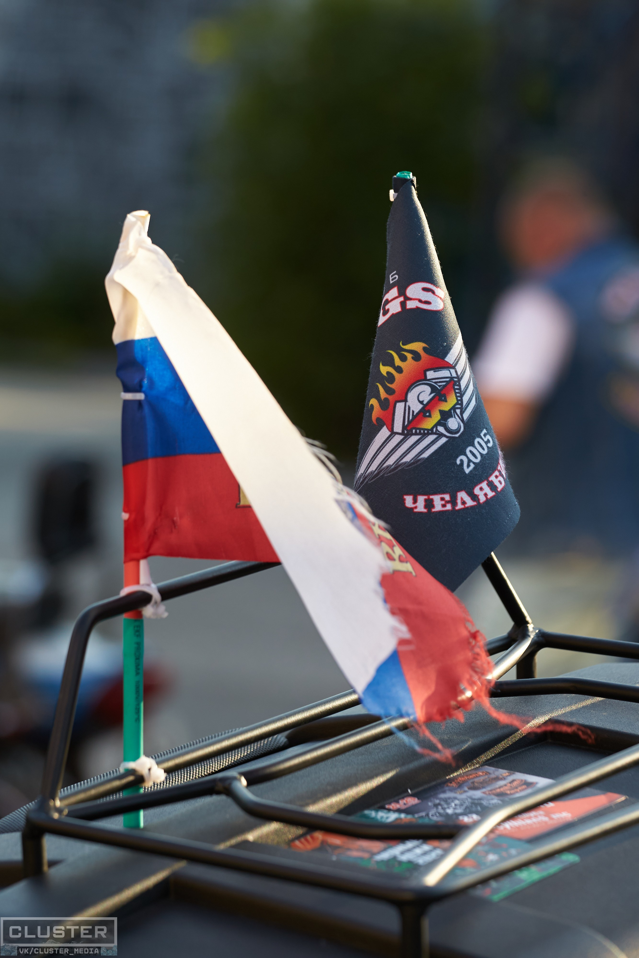 Портреты и Проекты