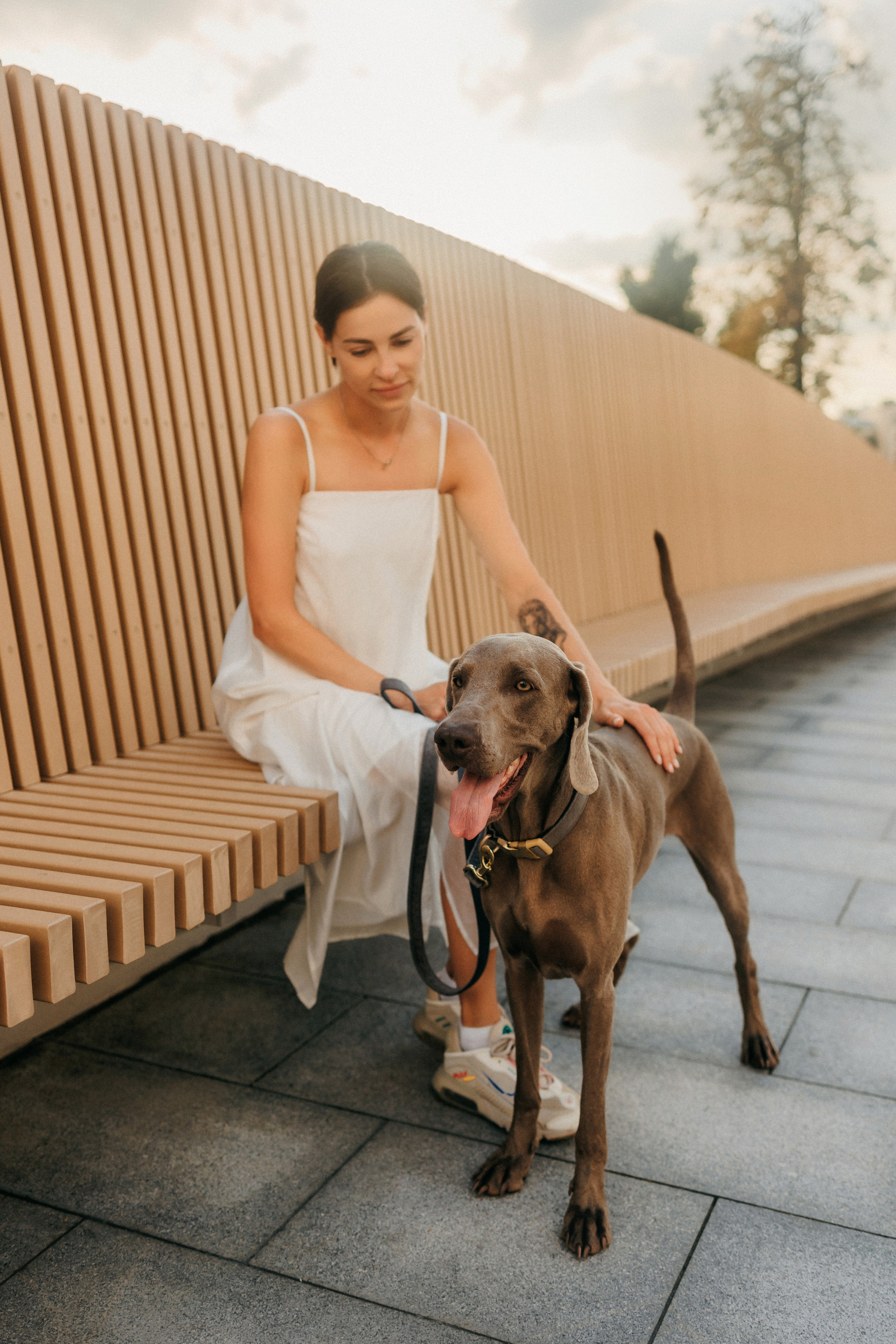 Соня и Майли. Фотограф-анималист Елена Радченко, Москва