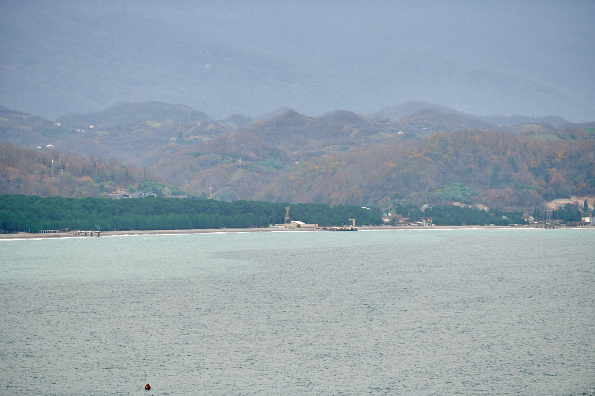 Пицунда, Абхазия. Декабрь 2024. Фотографии отовсюду и обо всем