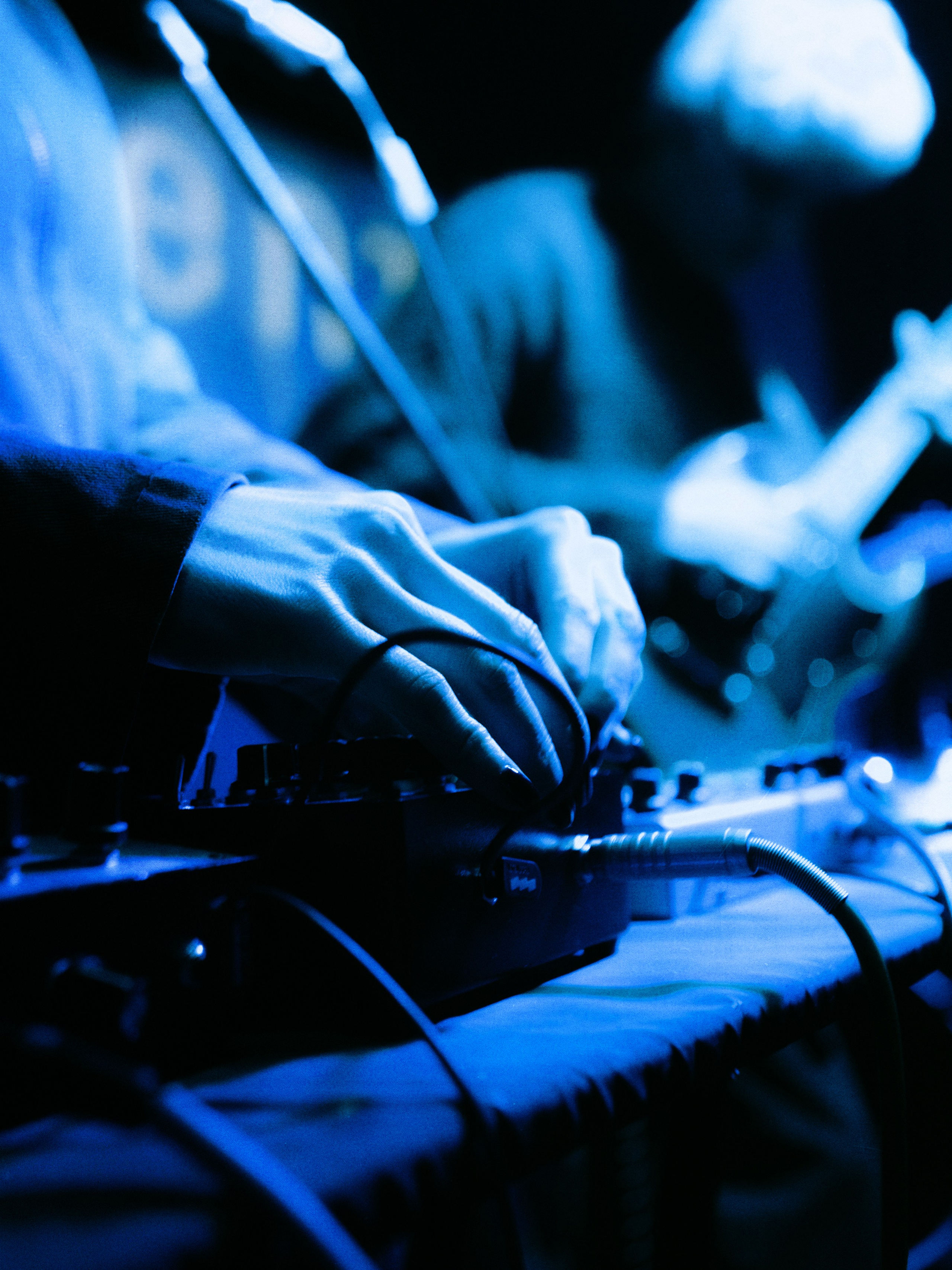 Dog Silent [pwrhs]. Фотограф Москва