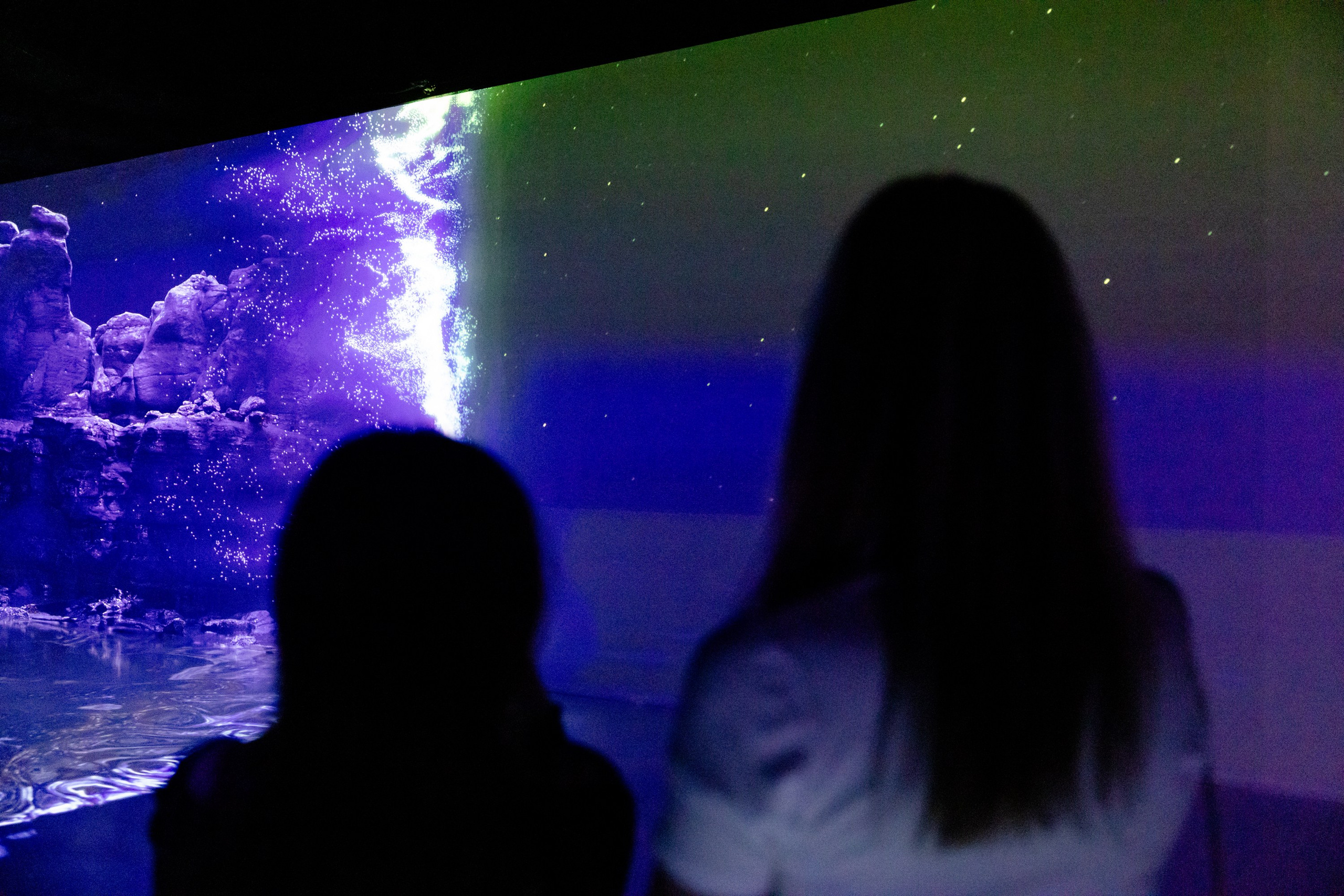 Выставка «Тутанхамон» в Luminar-X. Виктория Зудина — фотограф в Москве