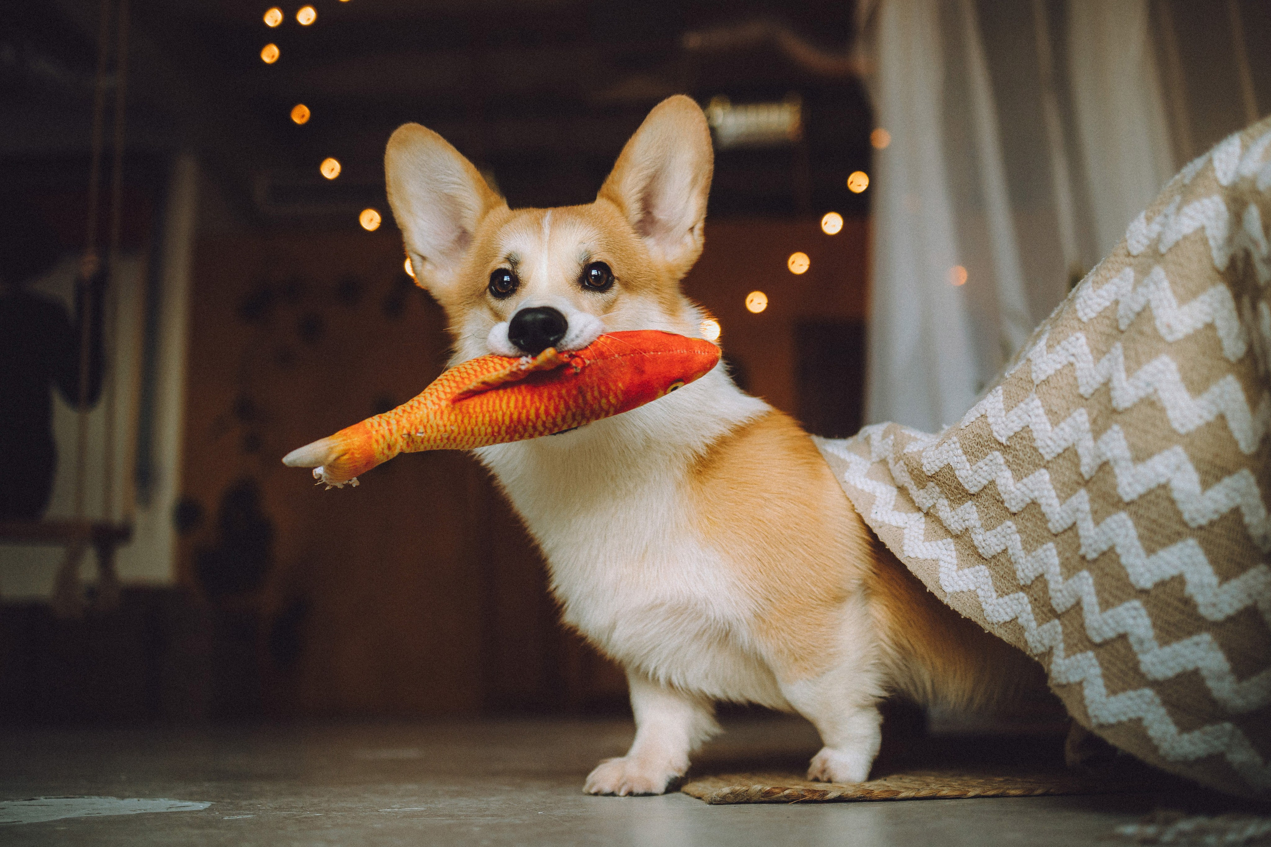 Наталья, Евгений и Мерлин