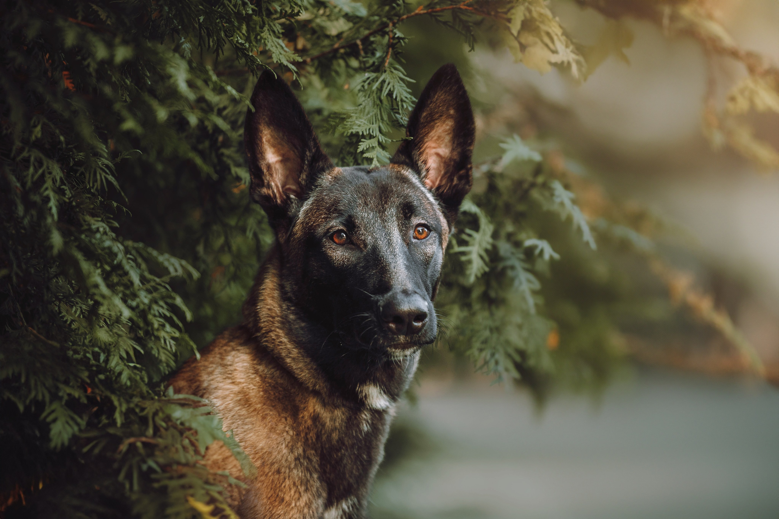 Никита и Ярик