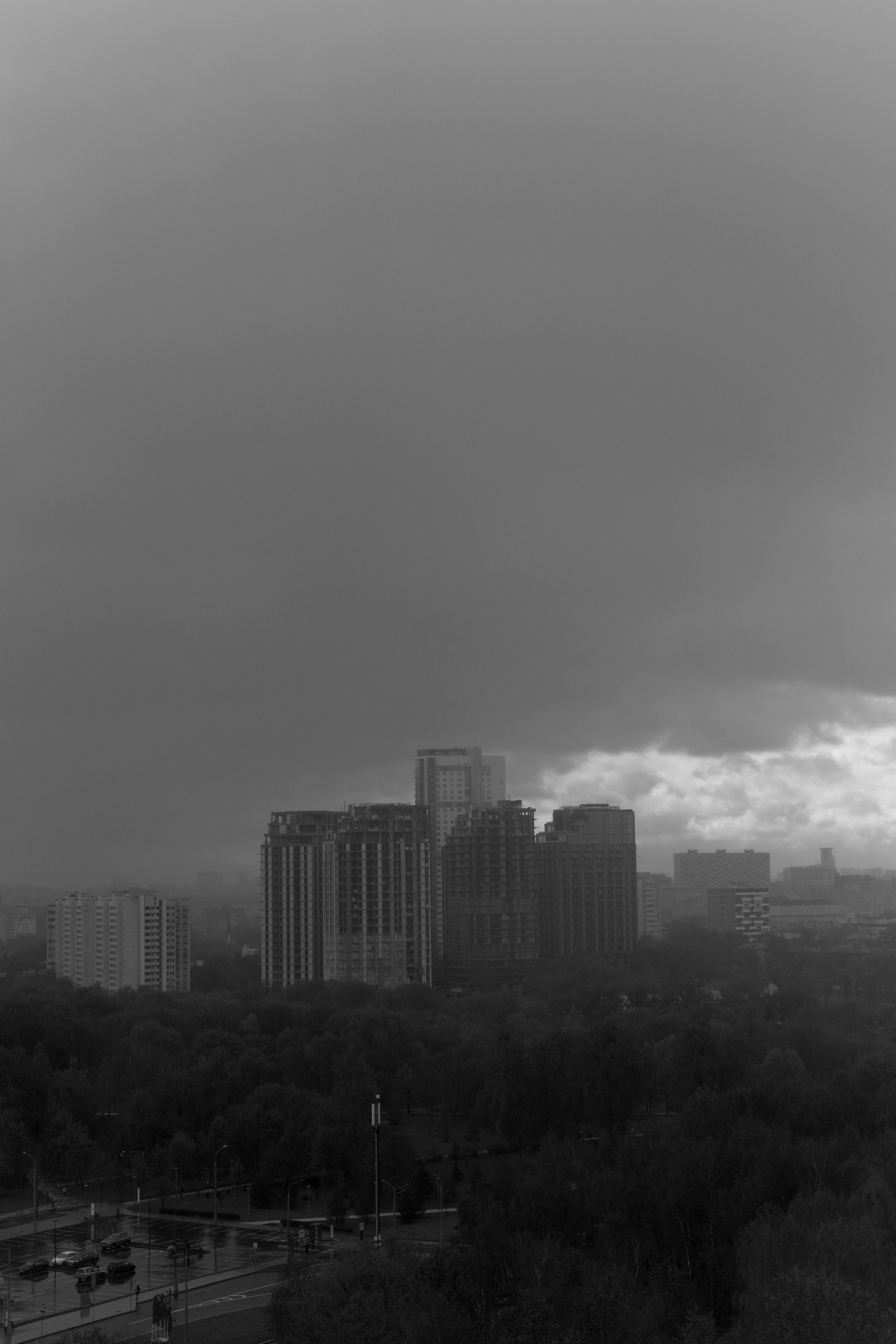 Свадьба Александра и Алены. Фотограф Кольчугино/Владимир/Москва Елизавета Иода