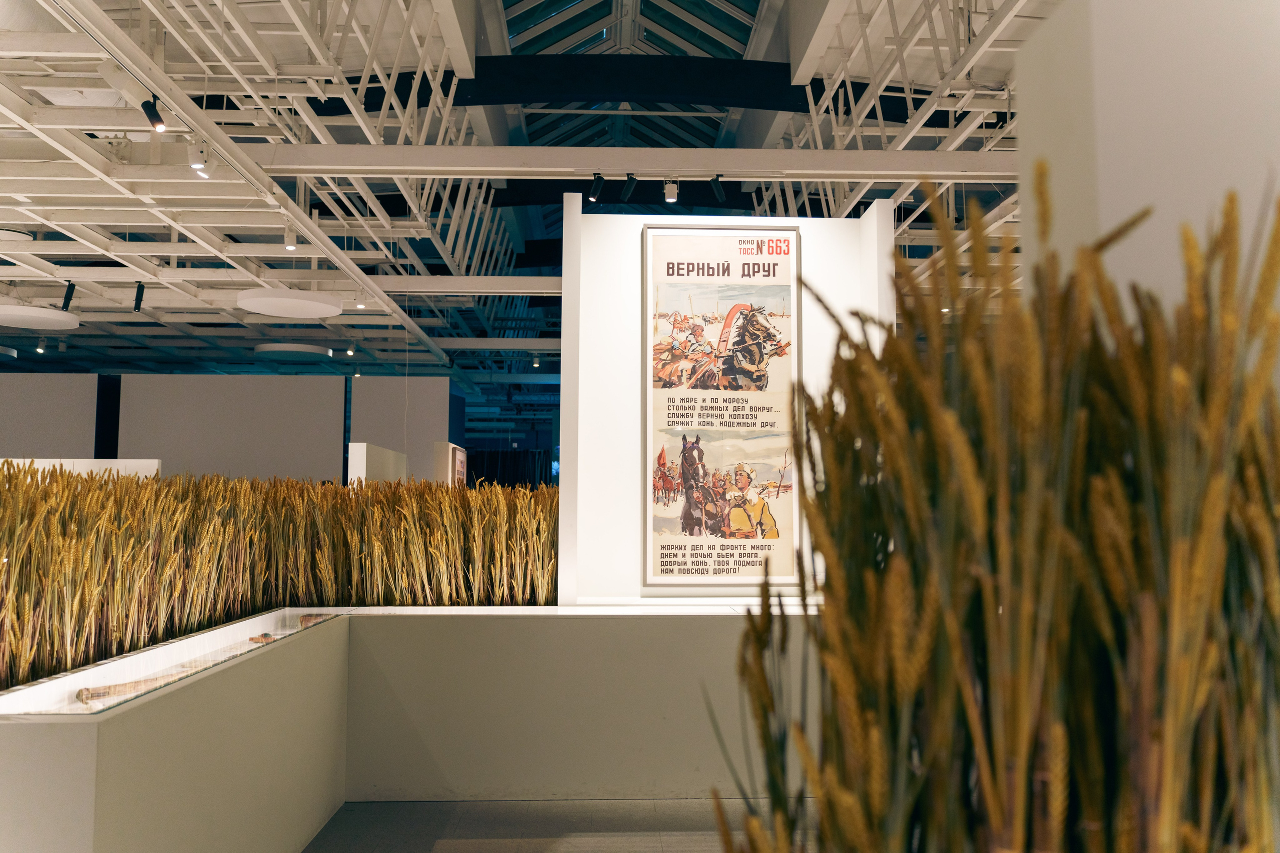 Выставка Великая страна — великая победа. Фотограф в Санкт-Петербурге Ибрагимова Алина