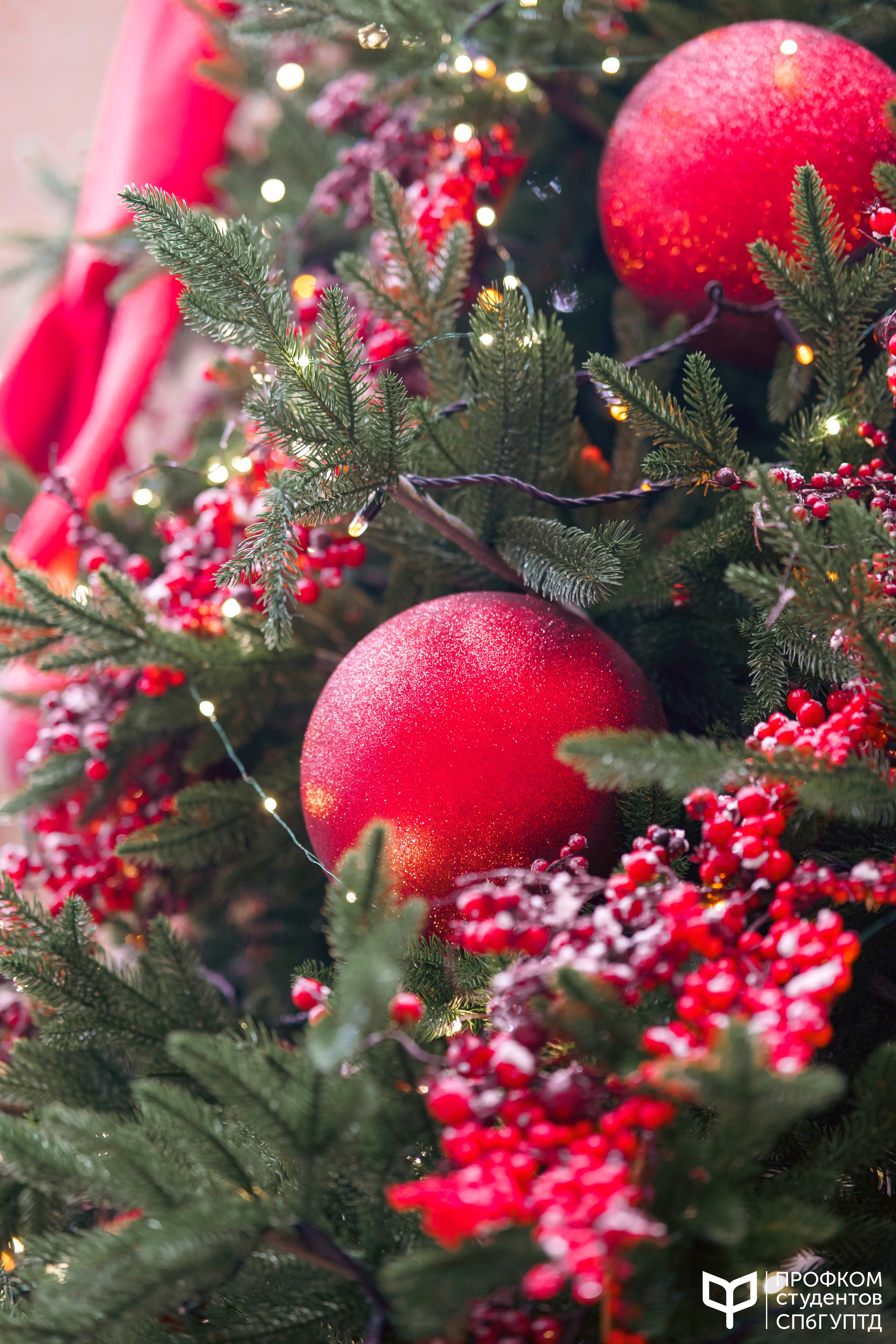 Новогодняя ярмарка 2024. Фотограф в Санкт-Петербурге Ибрагимова Алина