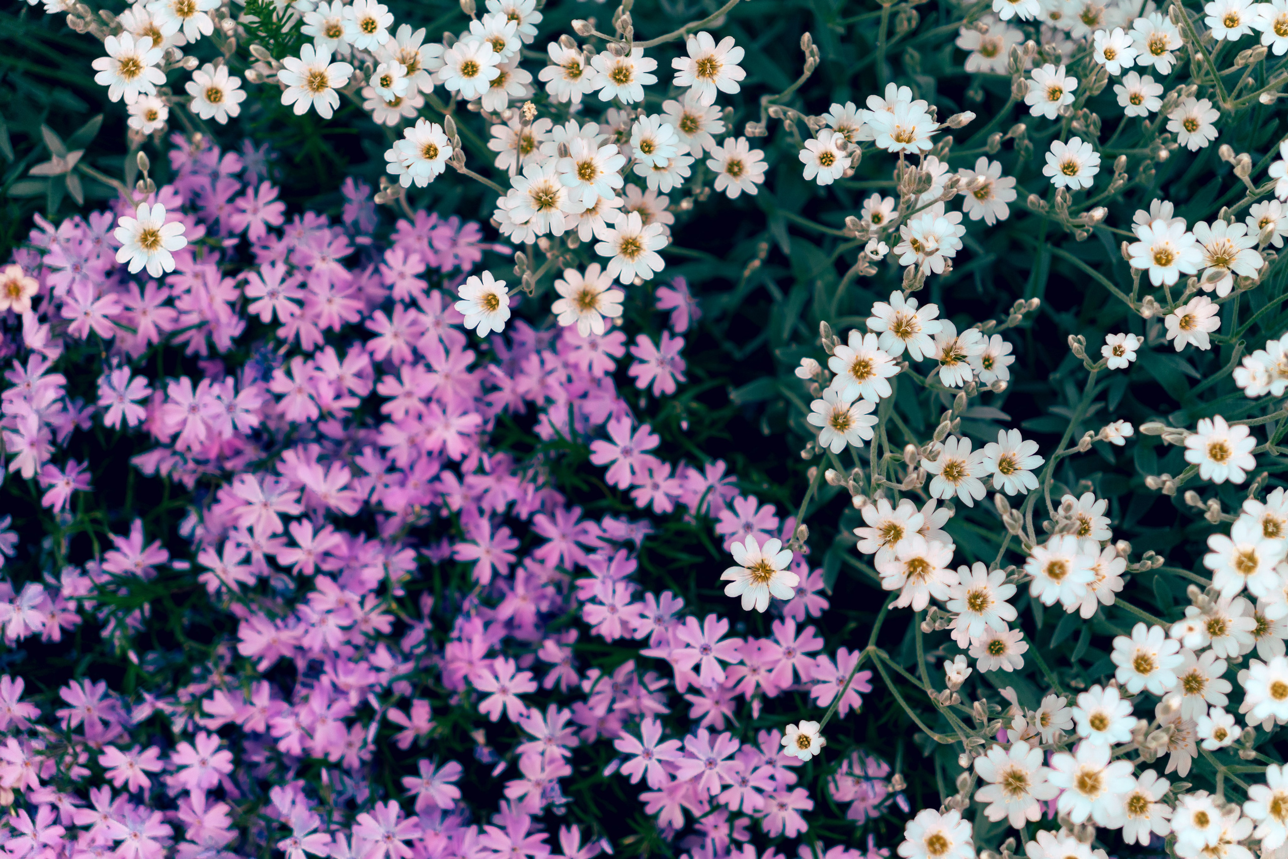 Москва. Фотограф в Санкт-Петербурге Ибрагимова Алина