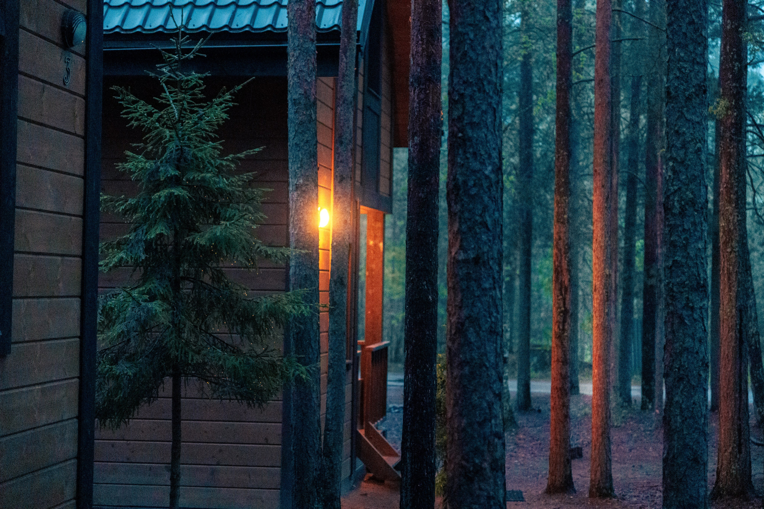 Природа. Фотограф в Санкт-Петербурге Ибрагимова Алина