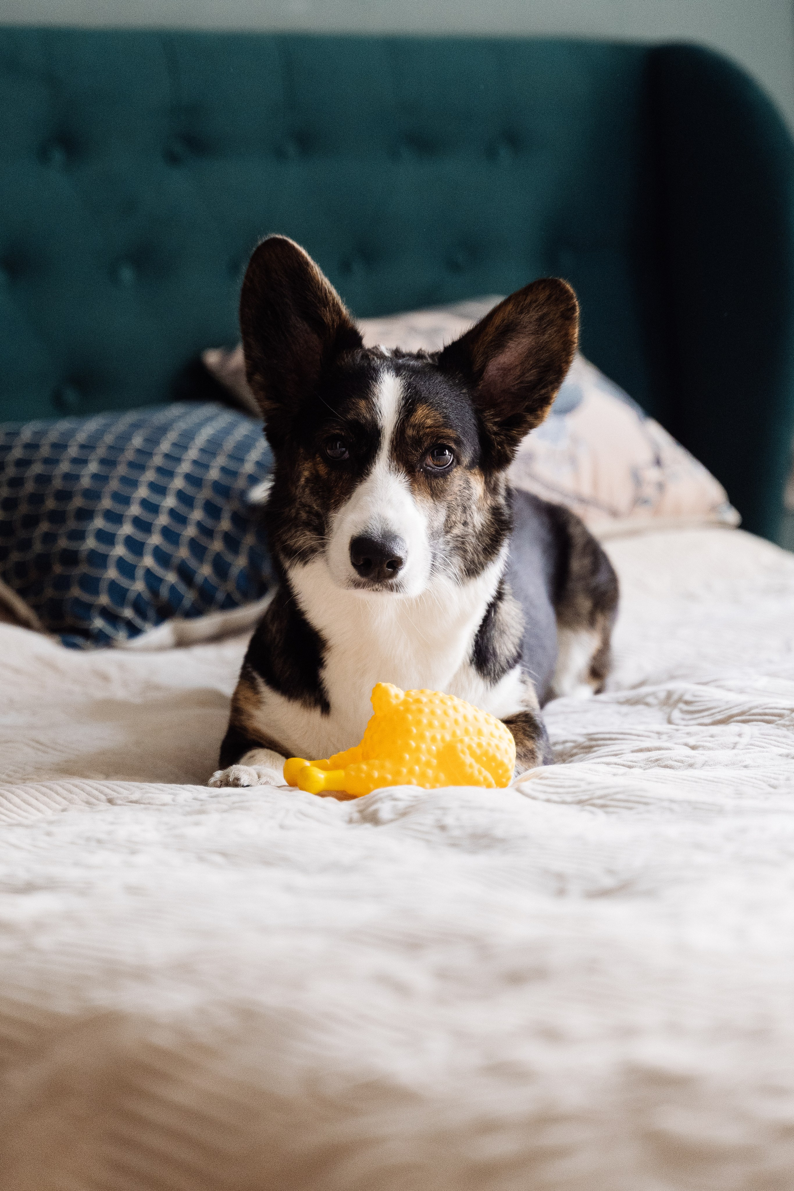 Свадьба на крыше Петербурга. Свадебный фотограф организатор в Санкт-Петербурге Ассоль Опарина