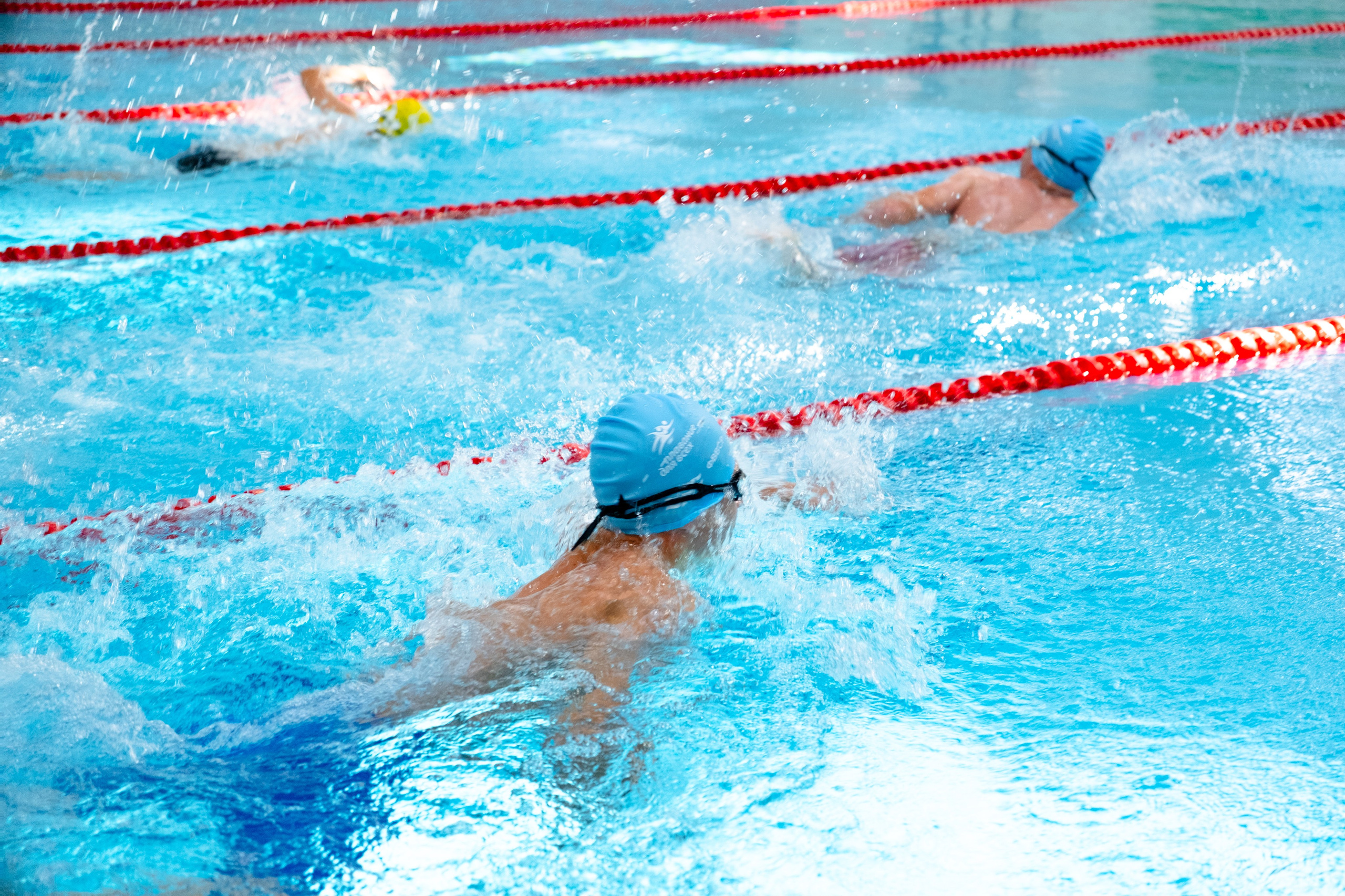 Всероссийский фестиваль «День пловца» в Сириусе. Репортажный фотограф в Сочи Екатерина Вежливцева