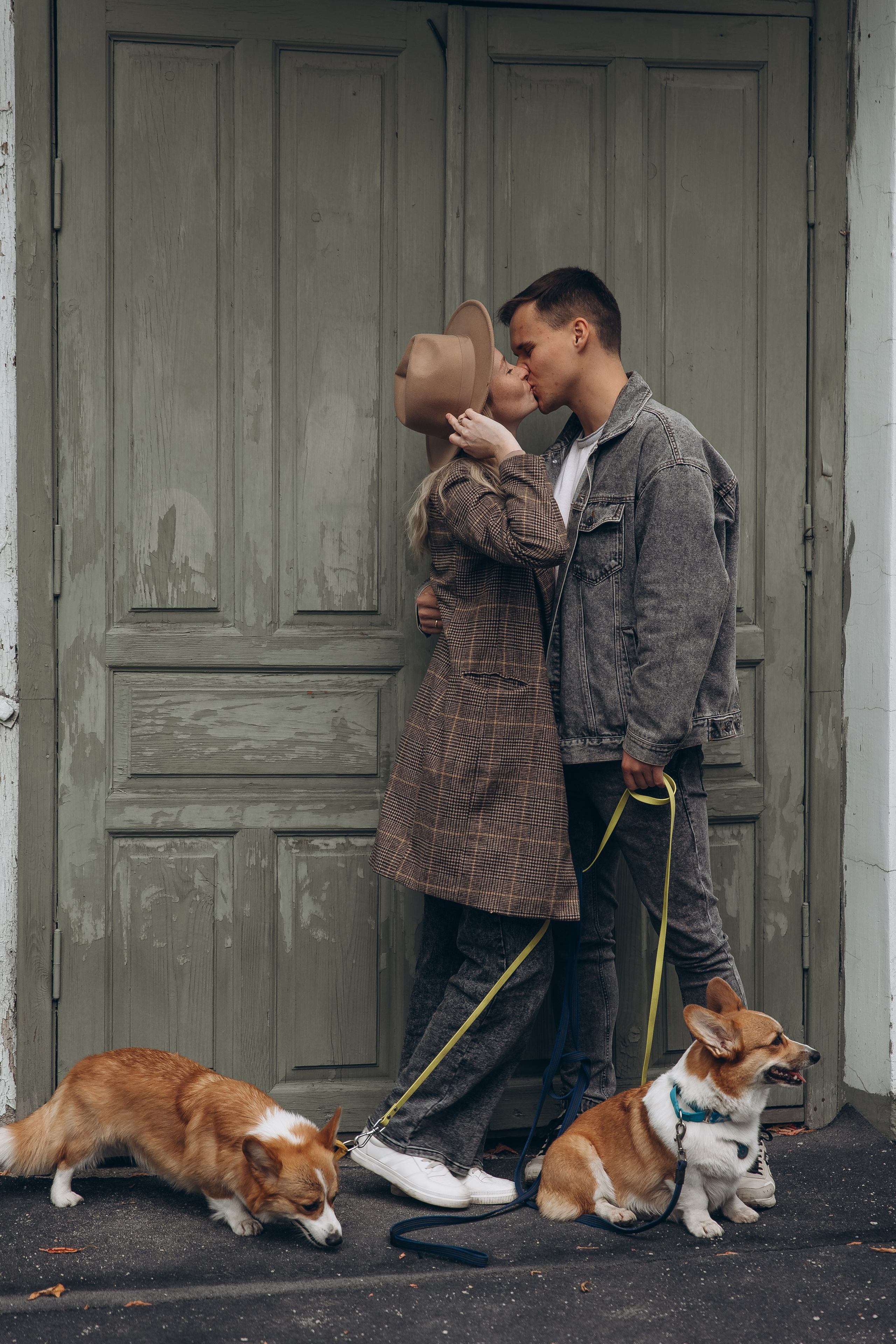 «Королевский Корги» 2. Фотограф Алина Ионычева в Новосибирске