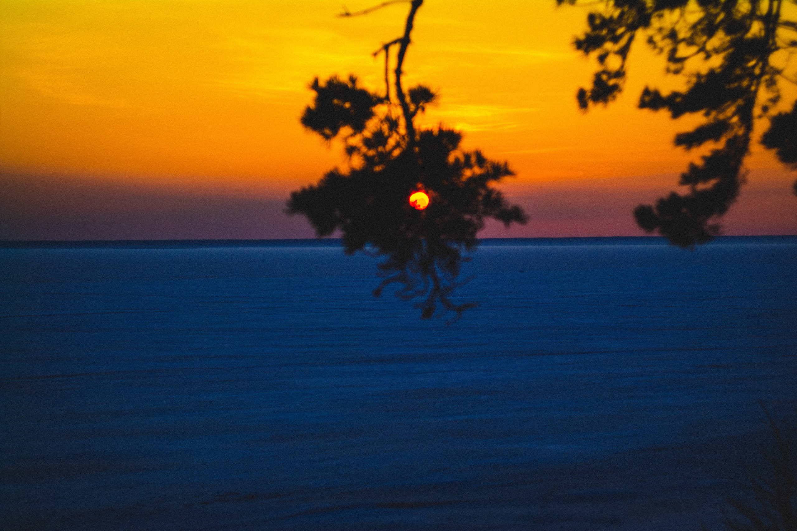 Narcissist. Den Mirov — Photographer, Musician