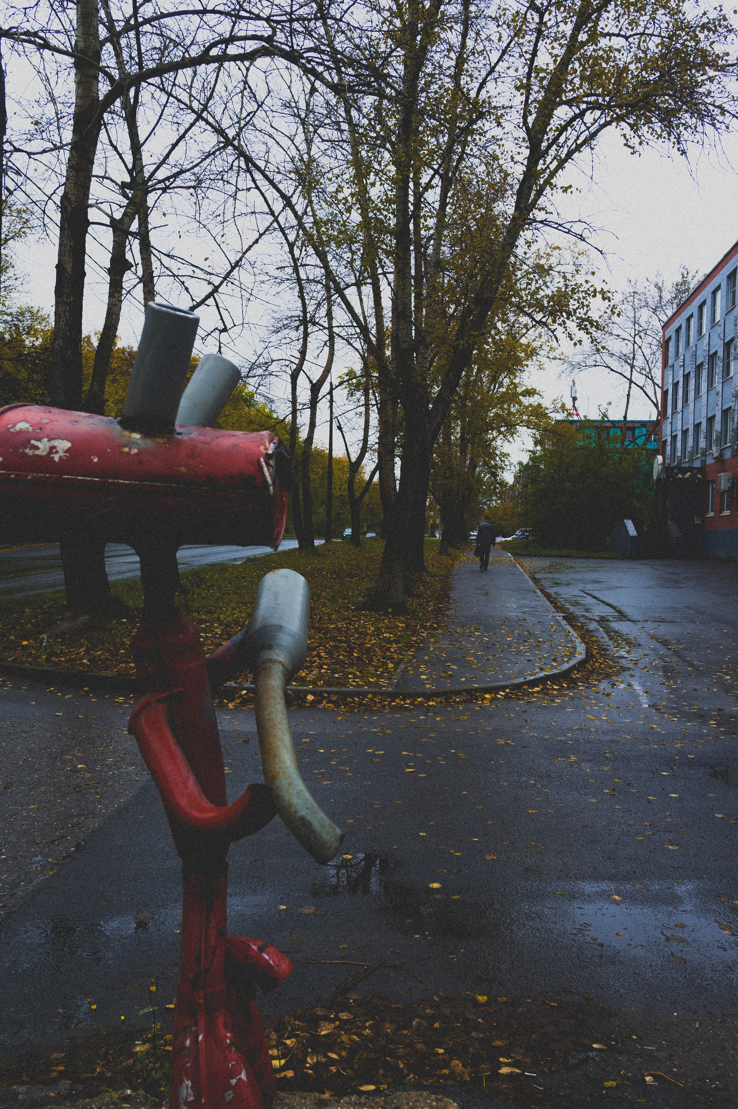 Октябрь 2025. Den Mirov — Фотограф, Музыкант