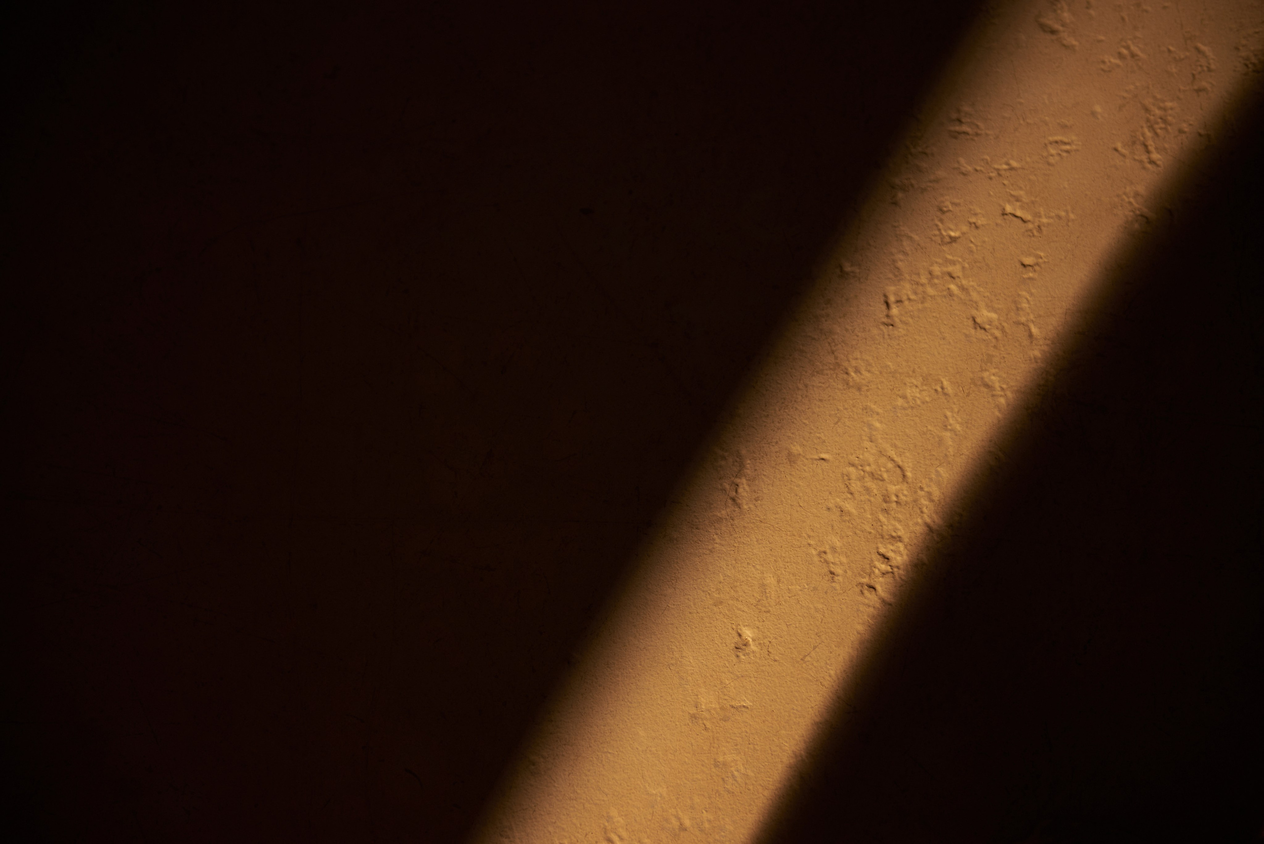 POGO on DUNE. Свадебный фотограф Юлия Гусева