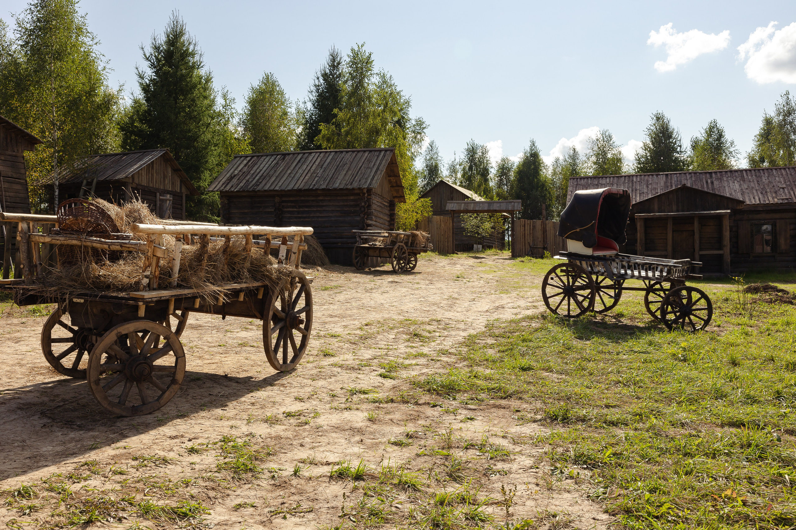 Кинопарк «Москино». Лисенкова Алиса — Фотограф, видеомейкер. Москва