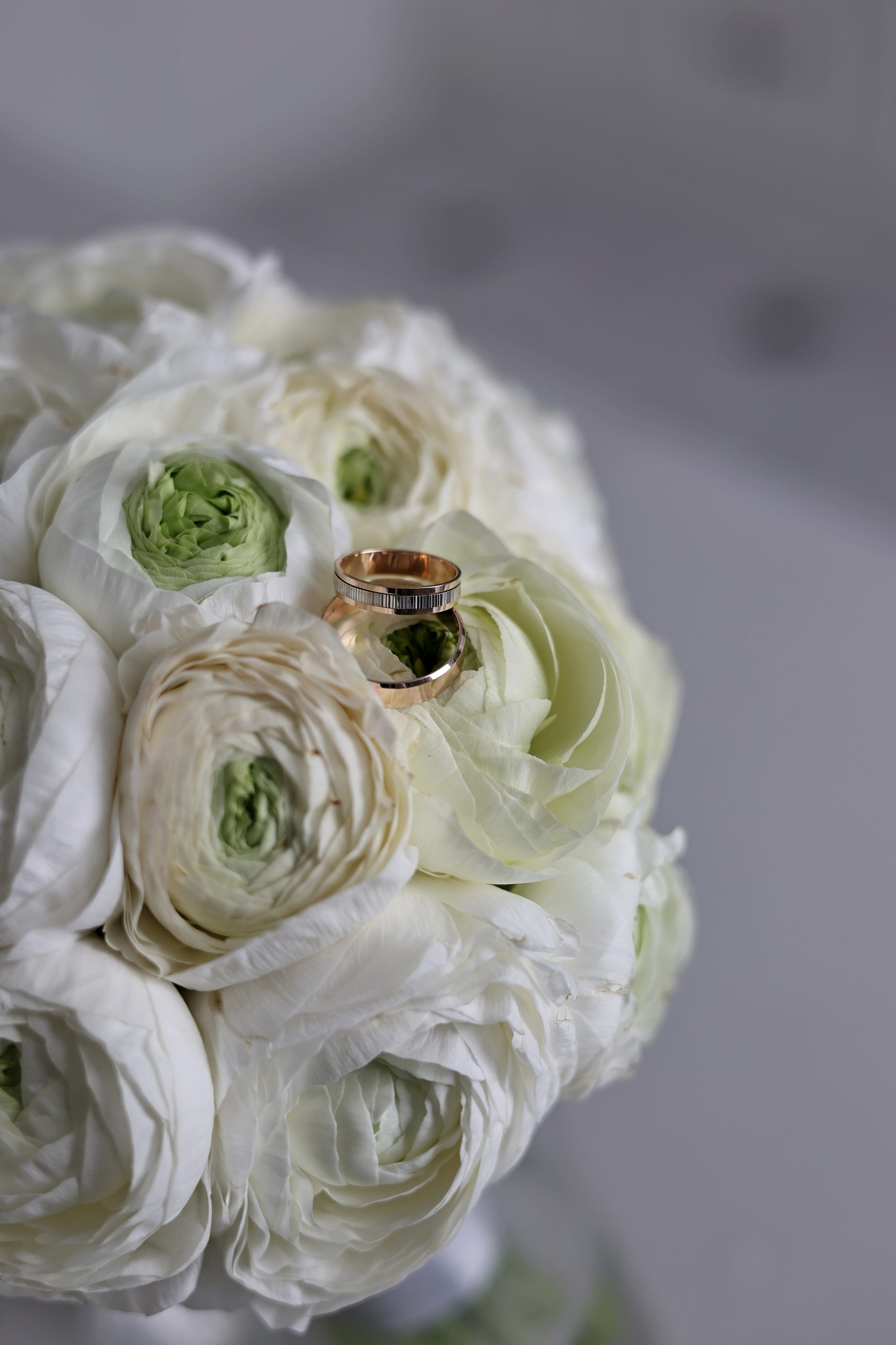 Мария и Александр. Свадебный и семейный фотограф в Воронеже Ксения Воротникова