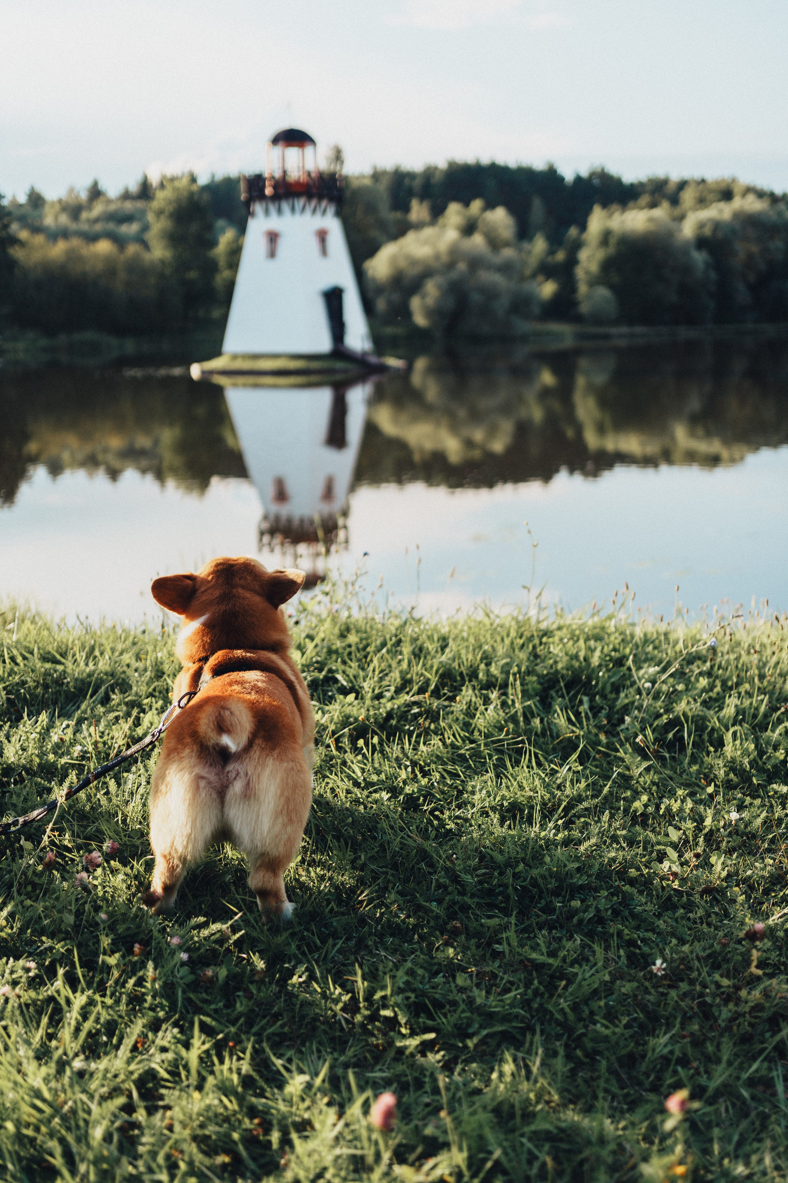 Возле маяка. Семейный и детский фотограф и видеограф в Москве, Серпухове и Тарусе Валерия Сорокина
