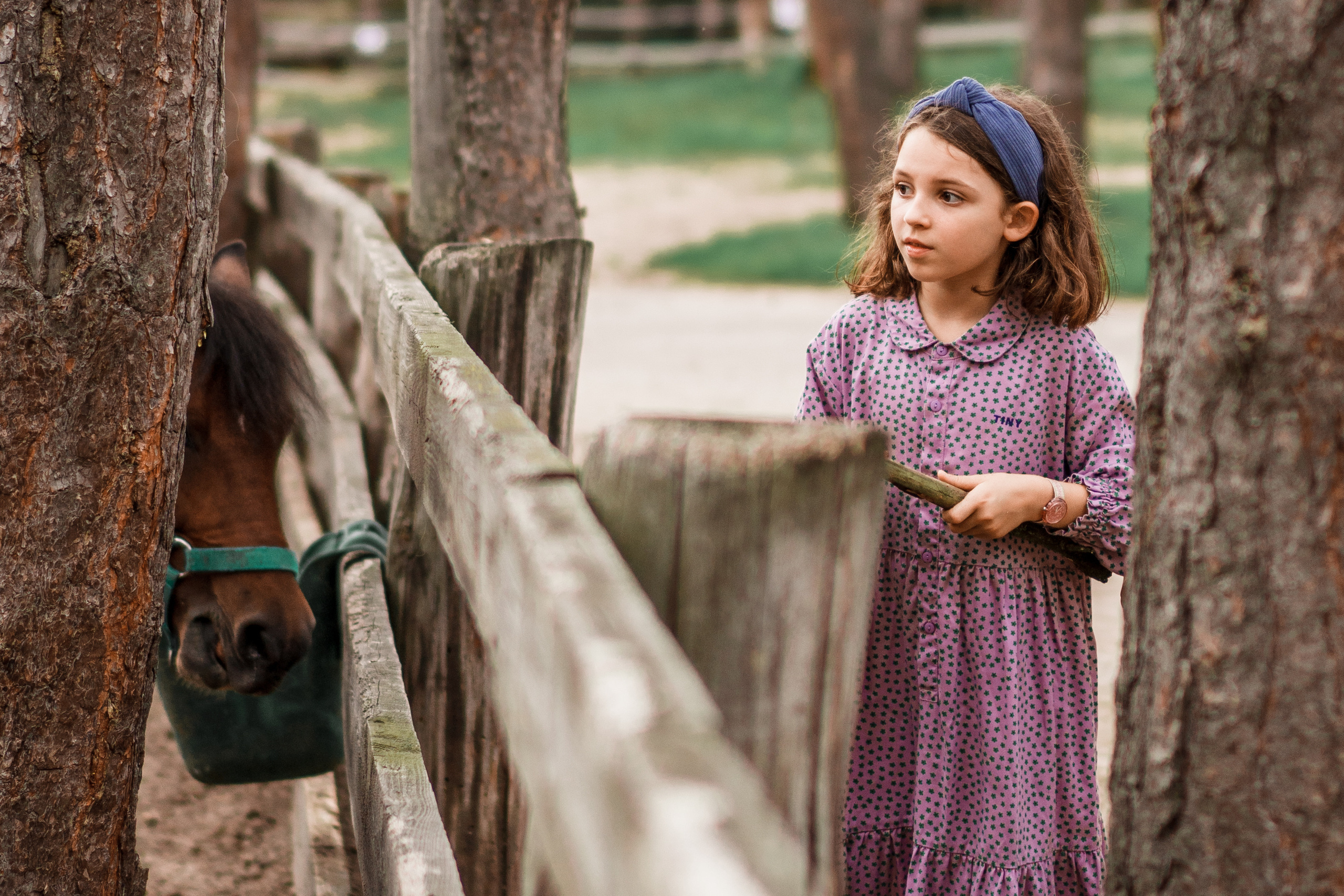 Фотографии. Семейный и детский фотограф и видеограф в Москве, Серпухове и Тарусе Валерия Сорокина