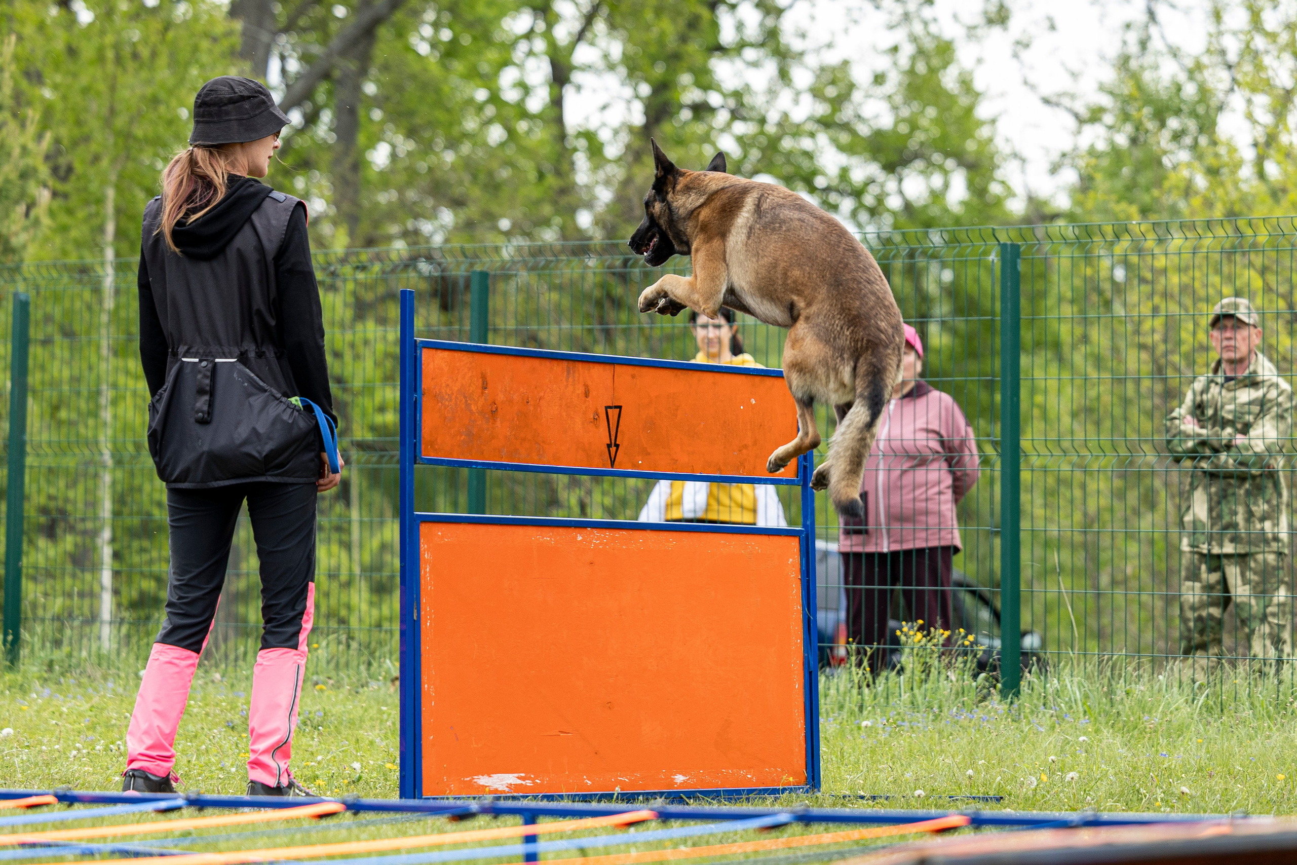 Испытания по мондьорингу в Нижнем Новгороде. Фотограф-анималист Анна Маринич