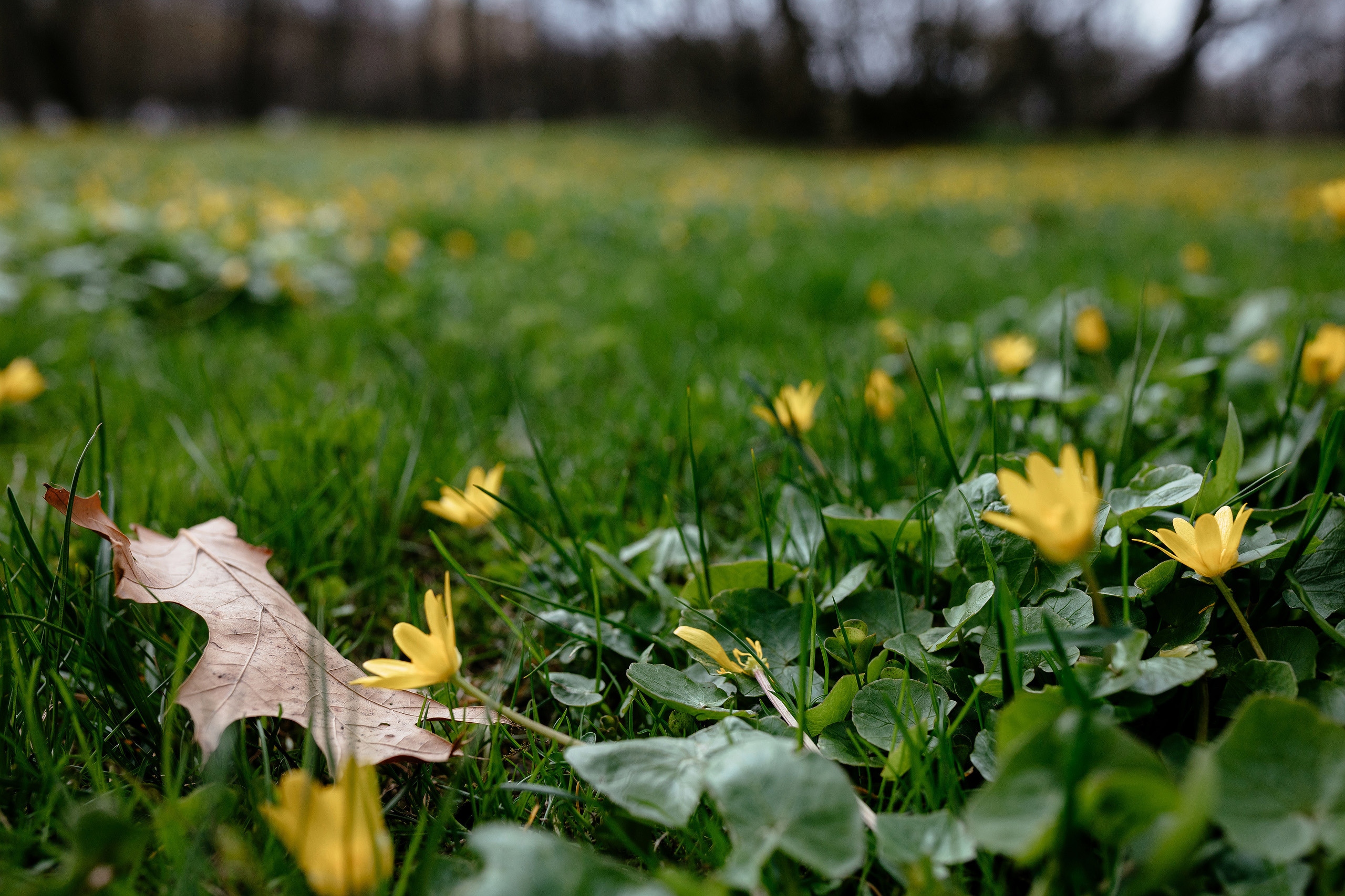 Дарья и Даниил. Фотограф Владимир Лукашев