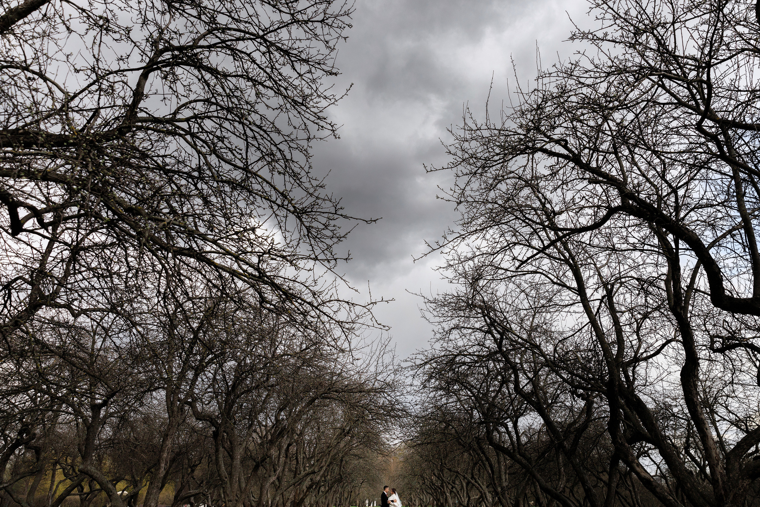 Дарья и Даниил. Фотограф Владимир Лукашев