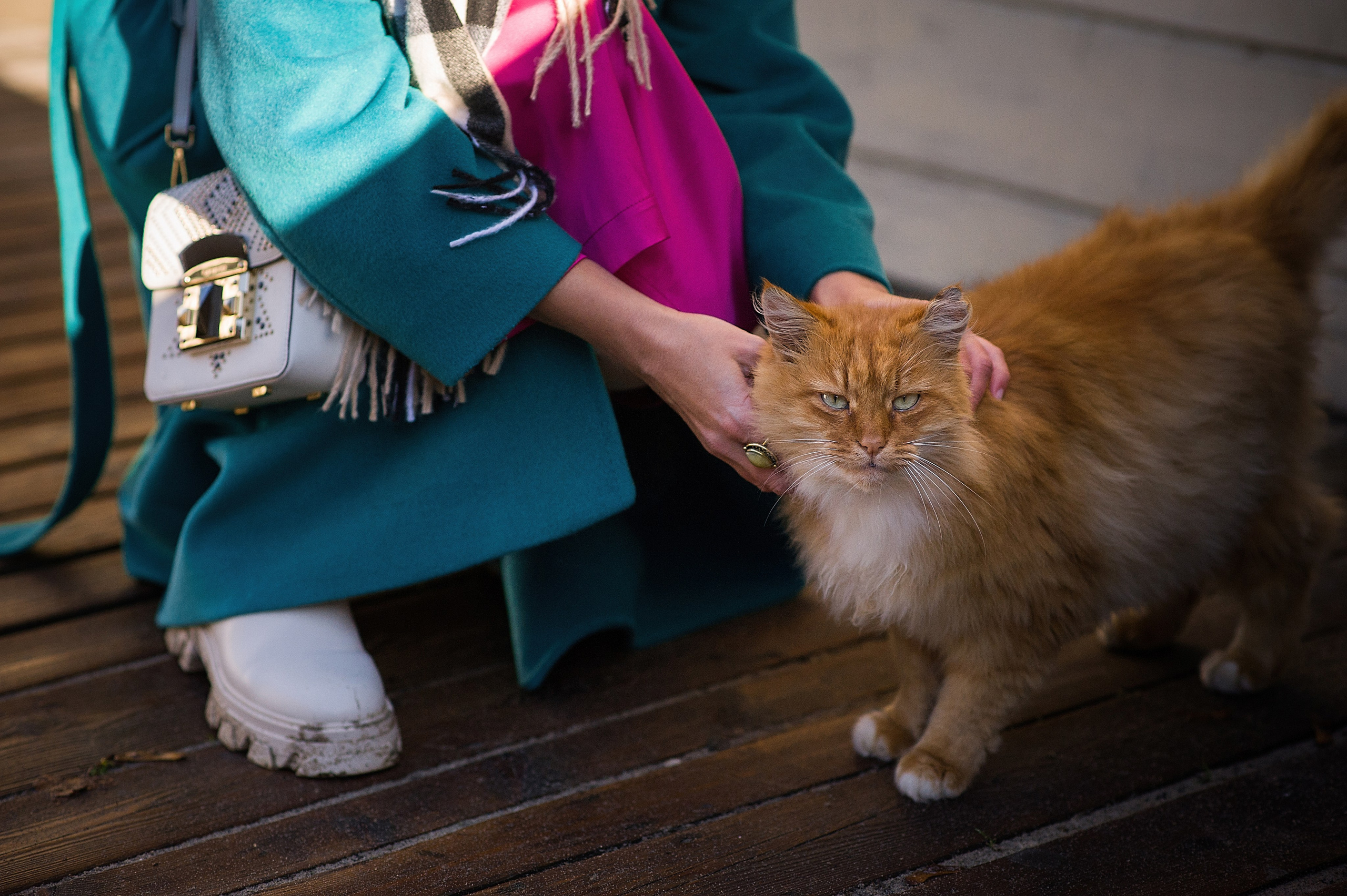 ФОТОПРОГУЛКИ. Фотограф Вера Демидкова