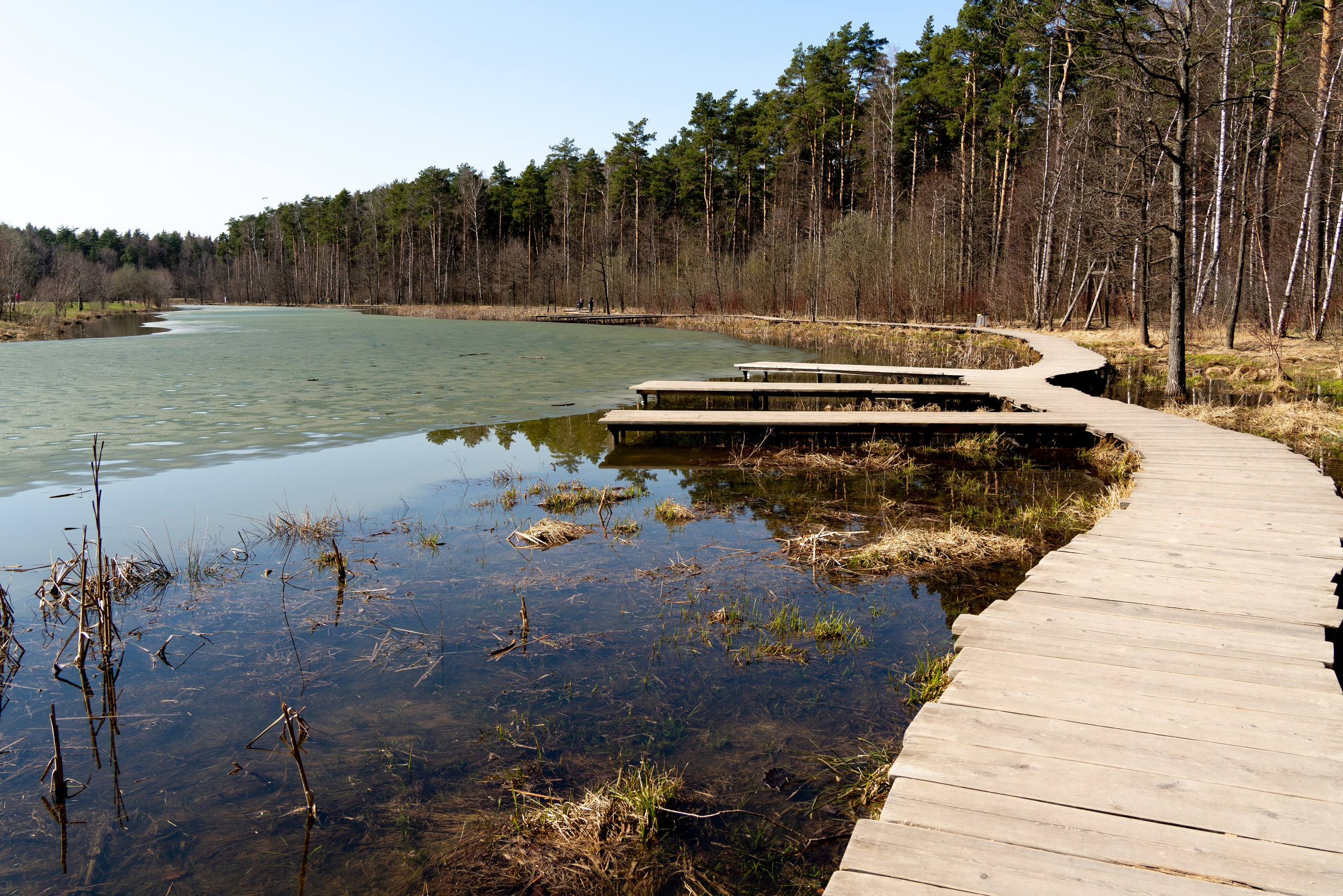 Мещерский парк. ПОБУДЬ ЗДЕСЬ И ЦЕЛЕЕ БУДЕТ ЭТОТ МИР