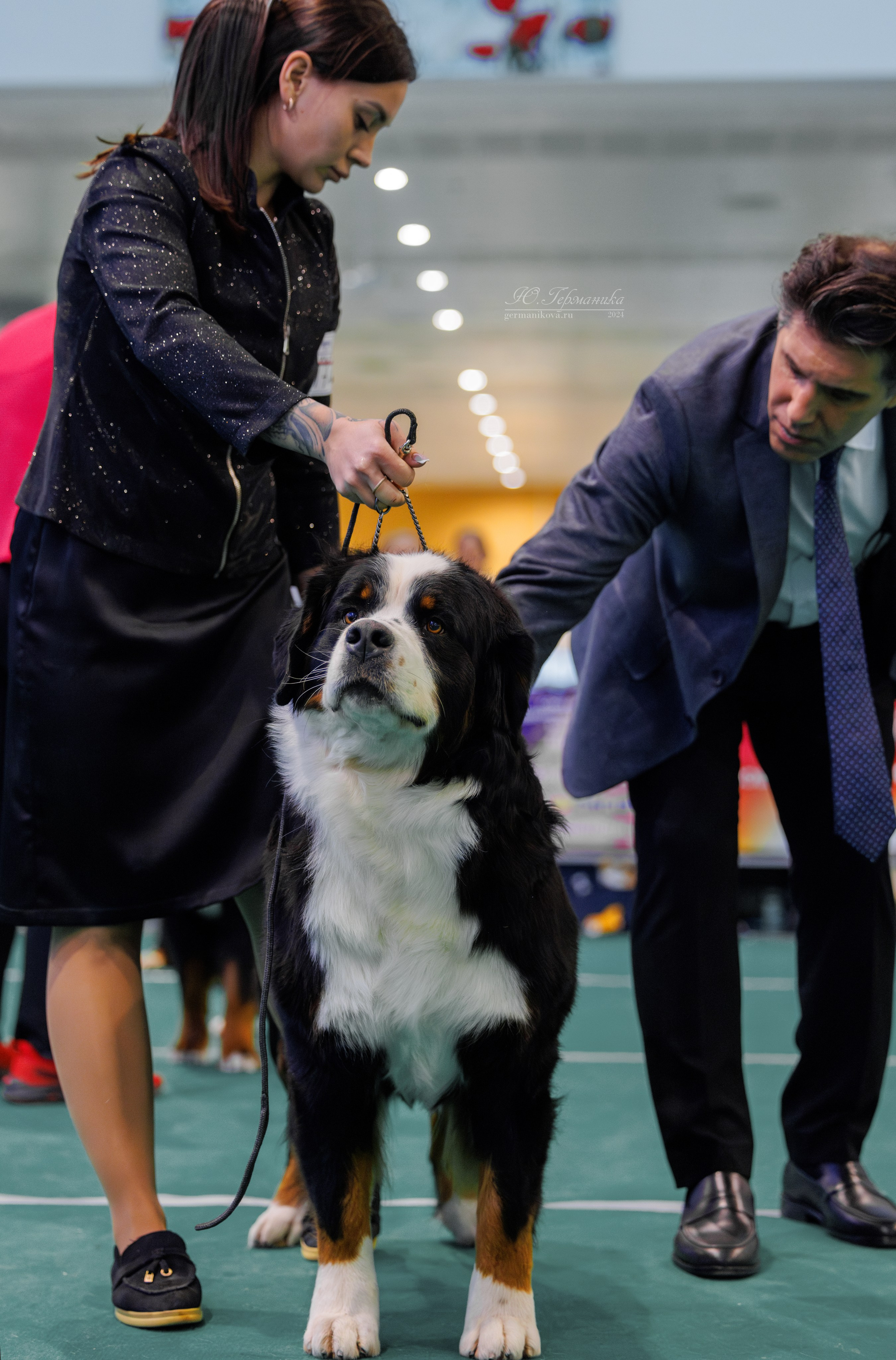 Минск 23.11.2024. Фотограф-анималист Юлия Германика