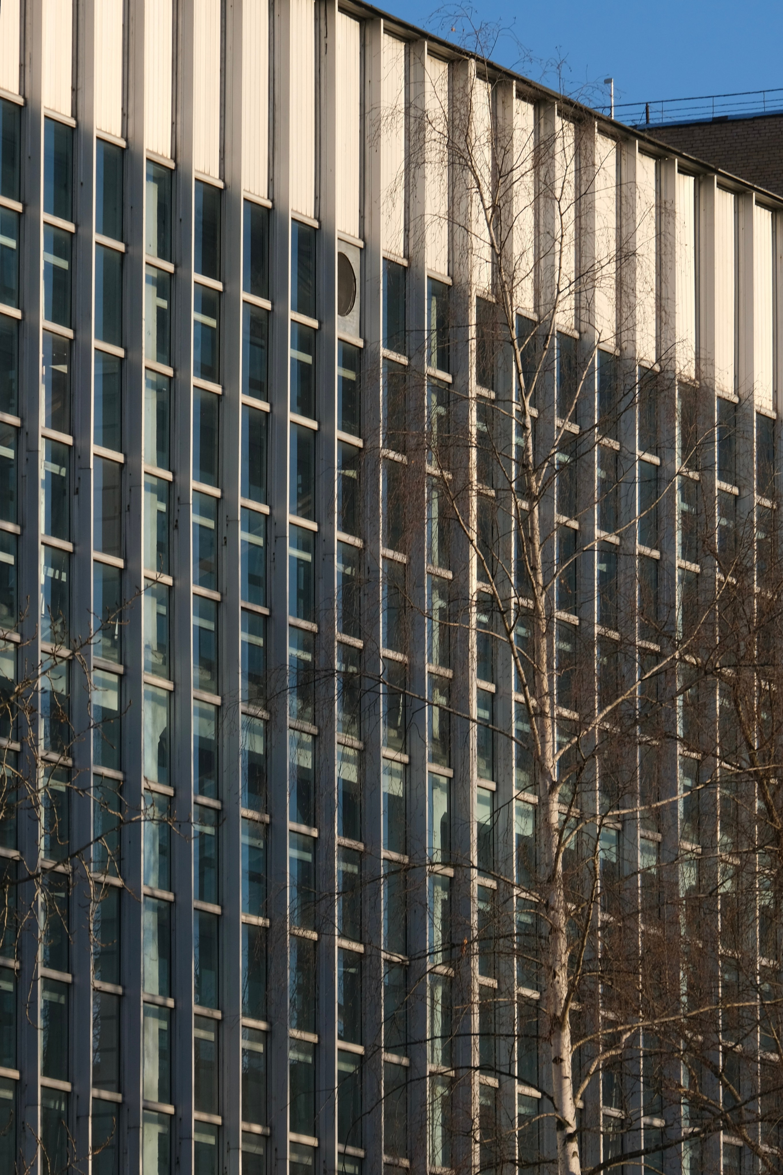 Москва. Татьян гертье