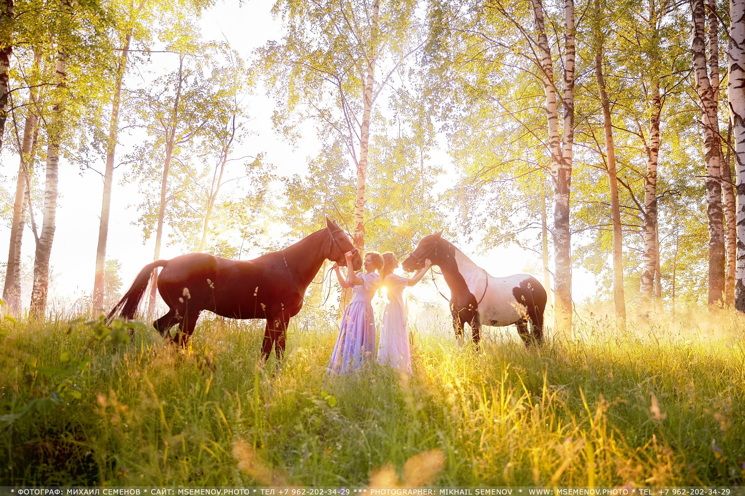 Фотосессия с лошадьми в г. Ярославль. Фотограф Михаил Семенов