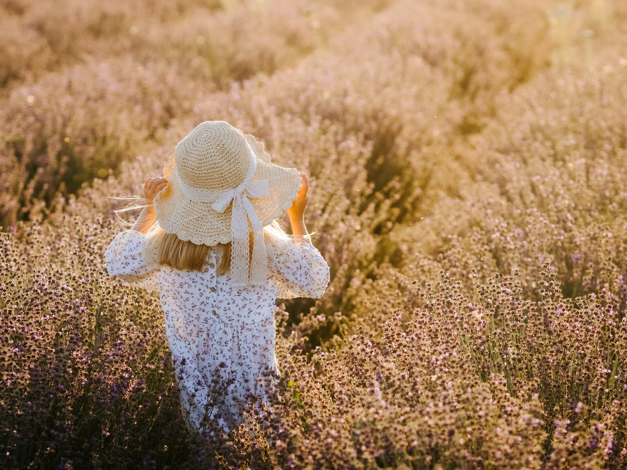 Лаванда. Семейный, детский, свадебный, фотограф в городе Анапа