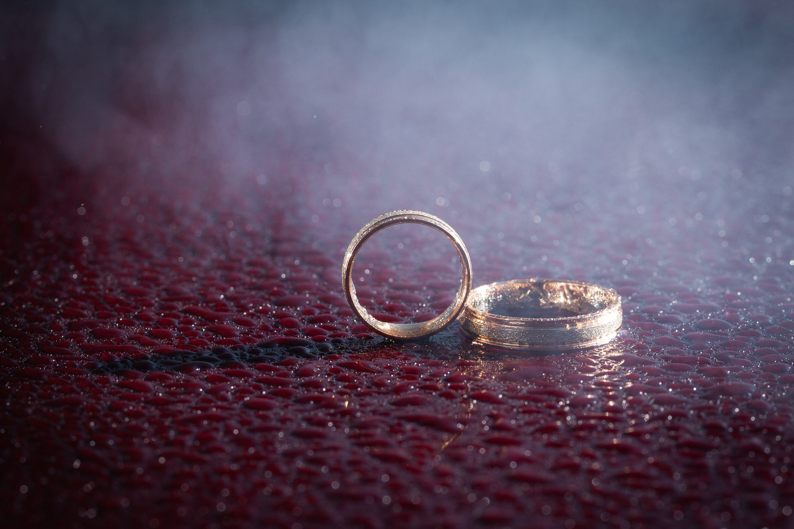 Свадьбы. Фотограф Комаров Сергей