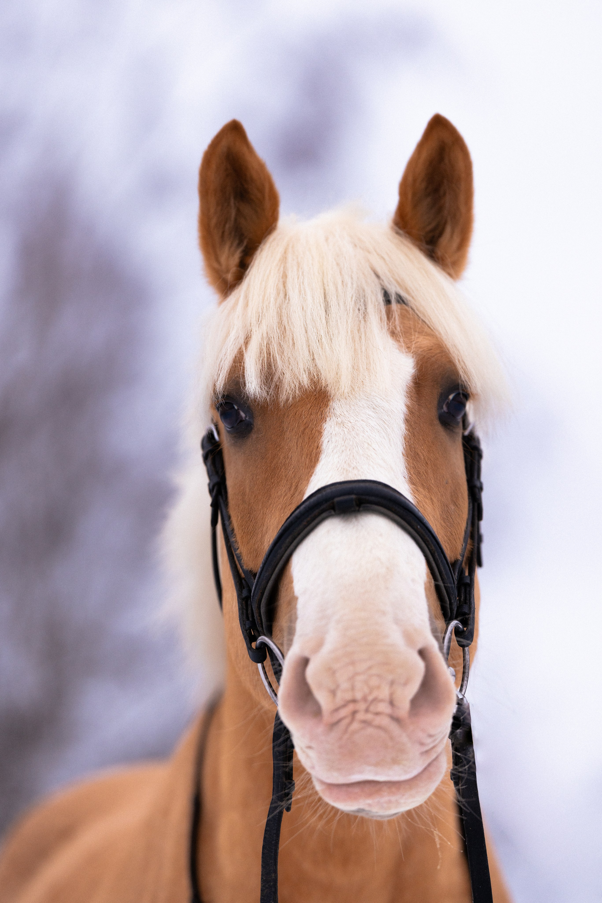 Бейкер. Фотограф и видеограф анималист Аганина Дарья