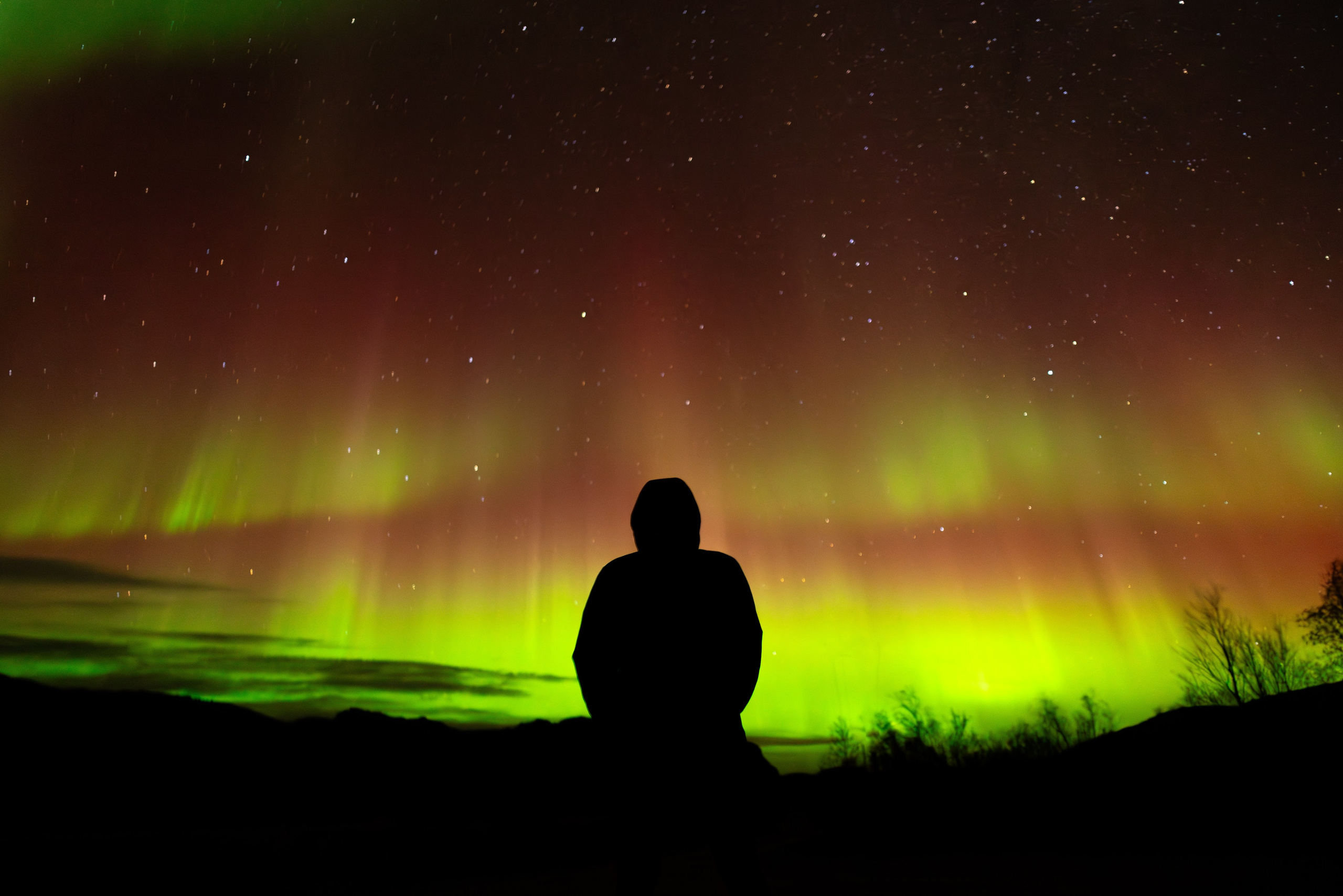 Кольский. Фотограф и видеограф анималист Аганина Дарья