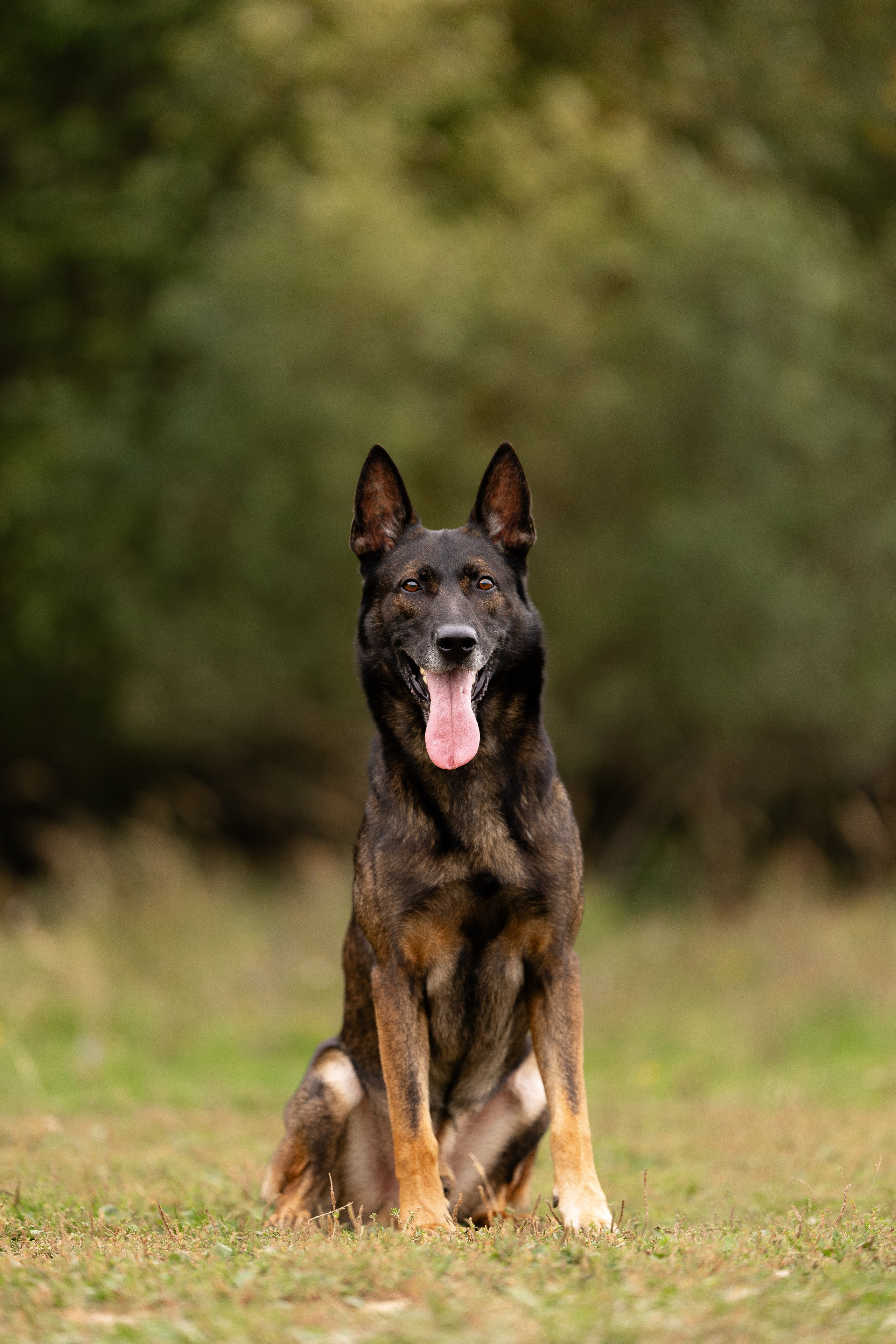 Макс. Фотограф и видеограф анималист Аганина Дарья