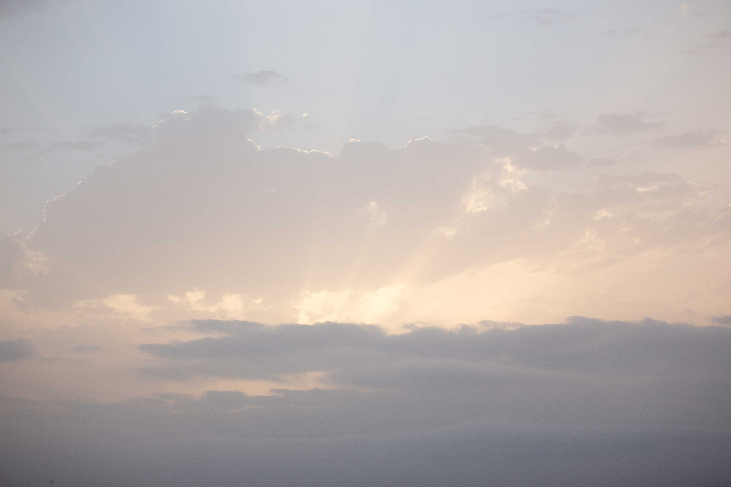 Anastasia Shapoval violoniste et photographe. Annecy — Geneve