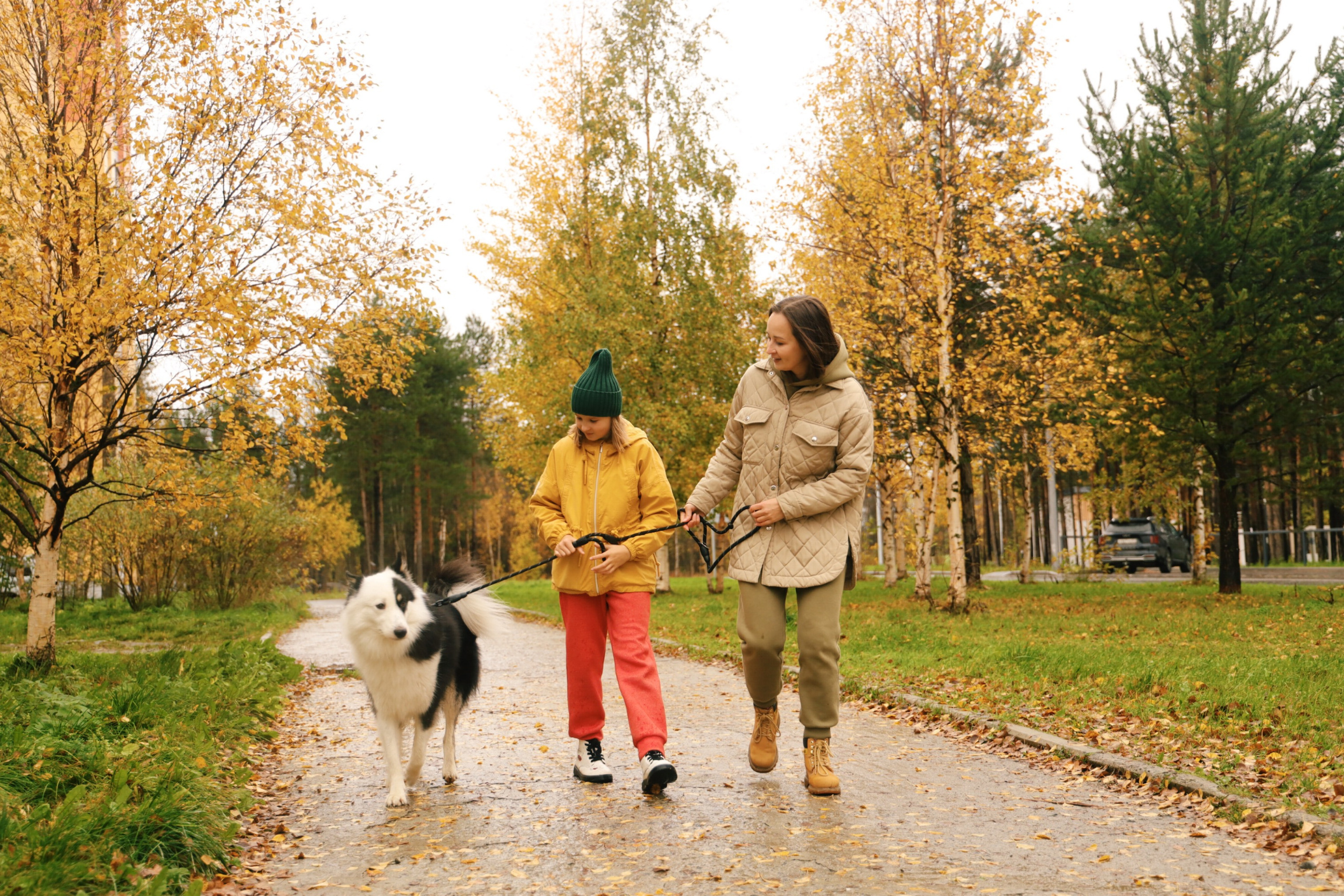 Даяна Фотодень. Фотограф Полярные Зори, Кандалакша, Мурманская область Мария Потапова