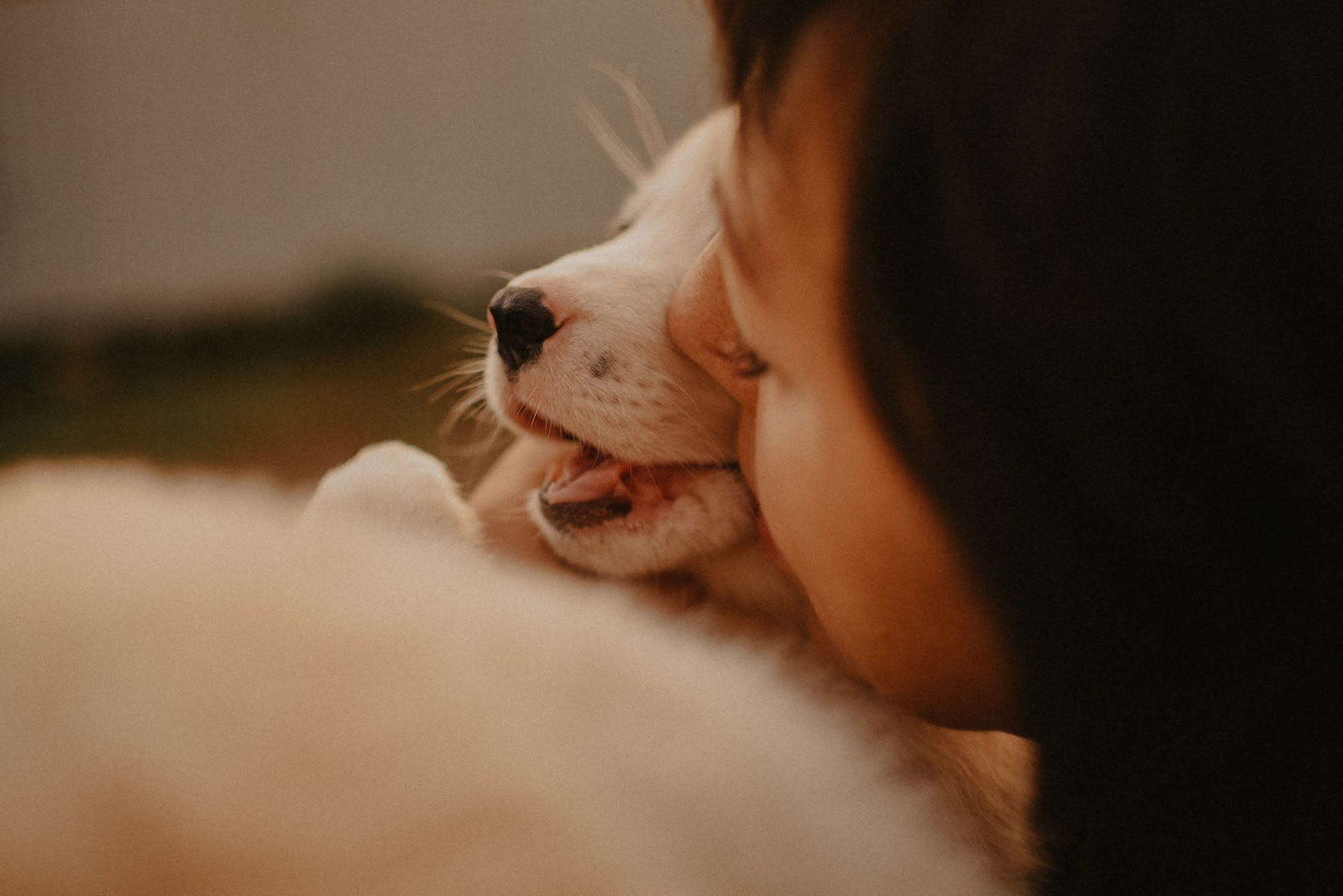 Photos from different sessions. Photos of you and your pet