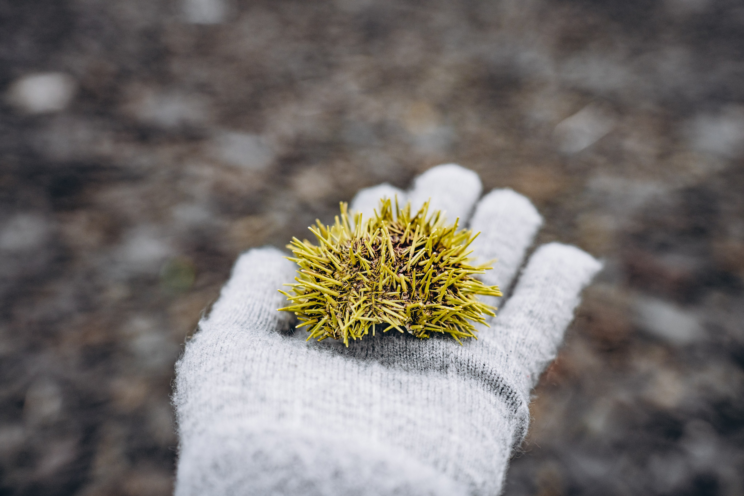 СЕВЕР. Event фотограф Степанова Александра